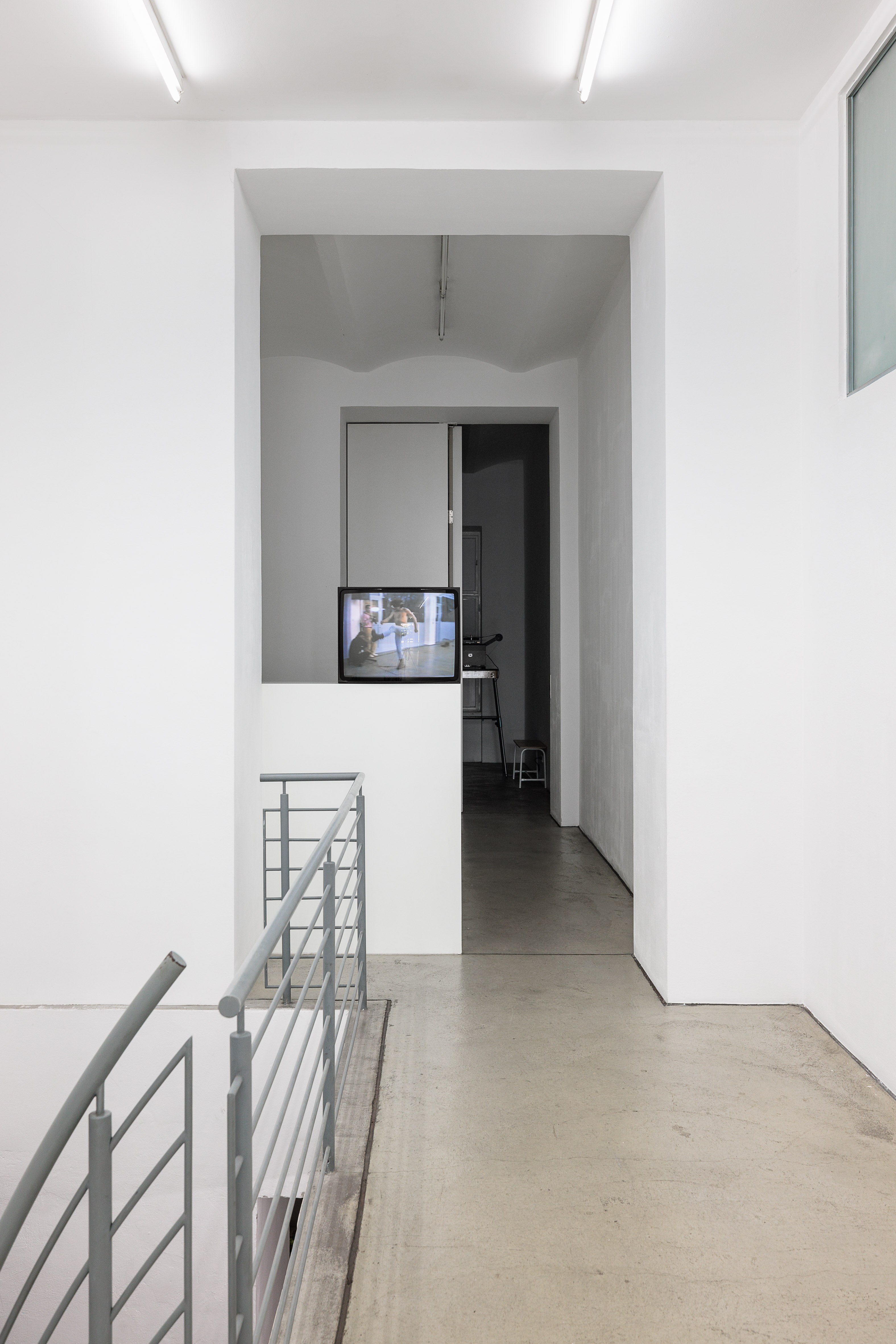 Birds and Flowers, exhibition view
