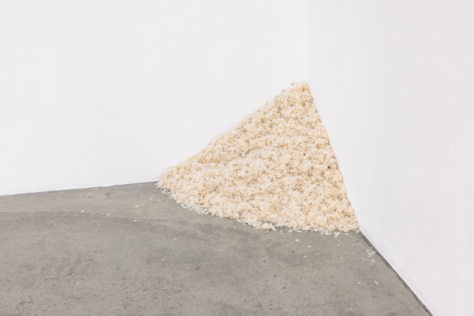 Petrit Halilaj untitled (for Felix) feathers of a pillow previously belonging to a loved one