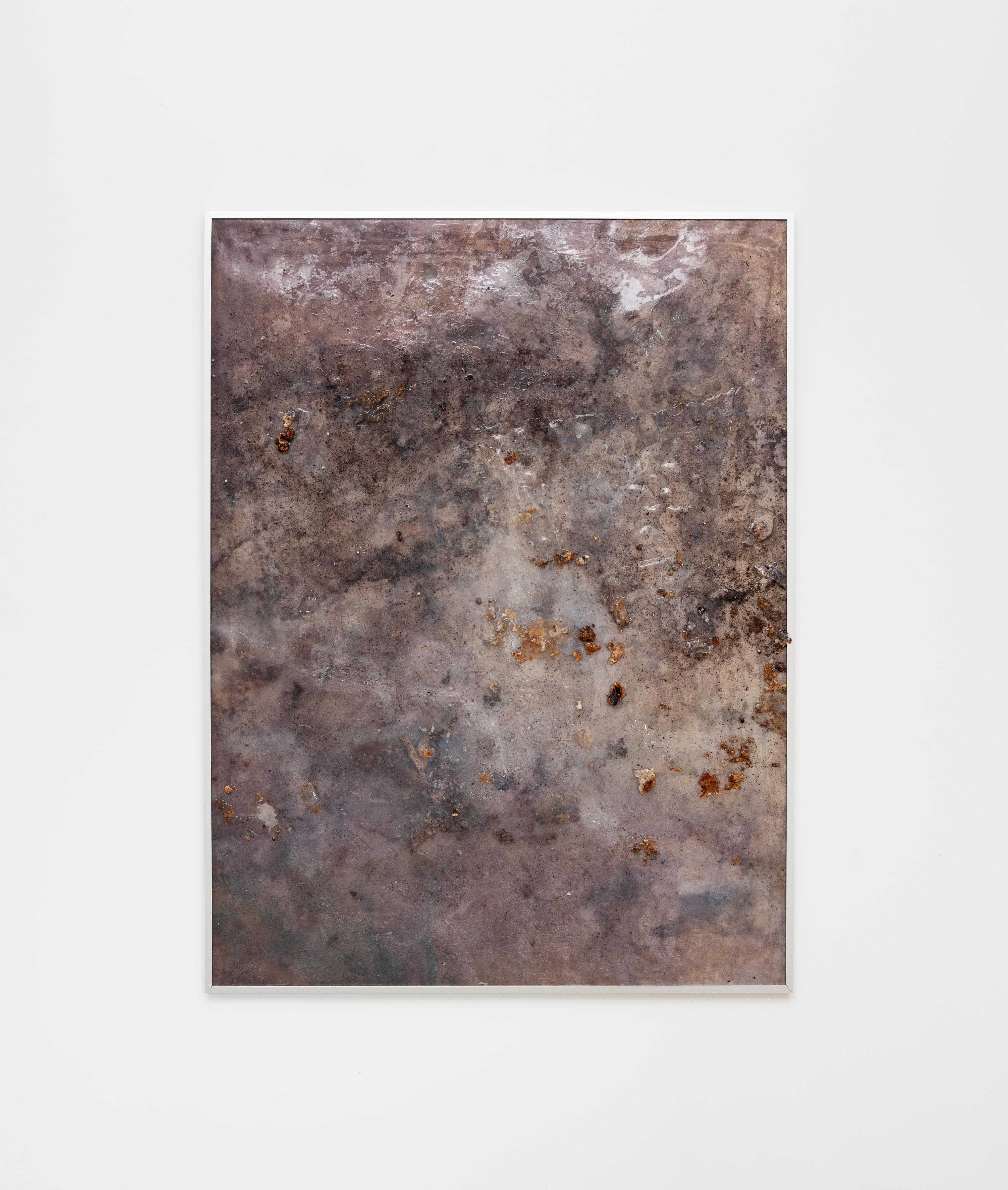 Dogs Sleep on a Pillow Love Us, 2024, 150x110cm, Inkjet print, sleeping bacteria, agar plate, silicone, mineral salt, aluminium on pvc film