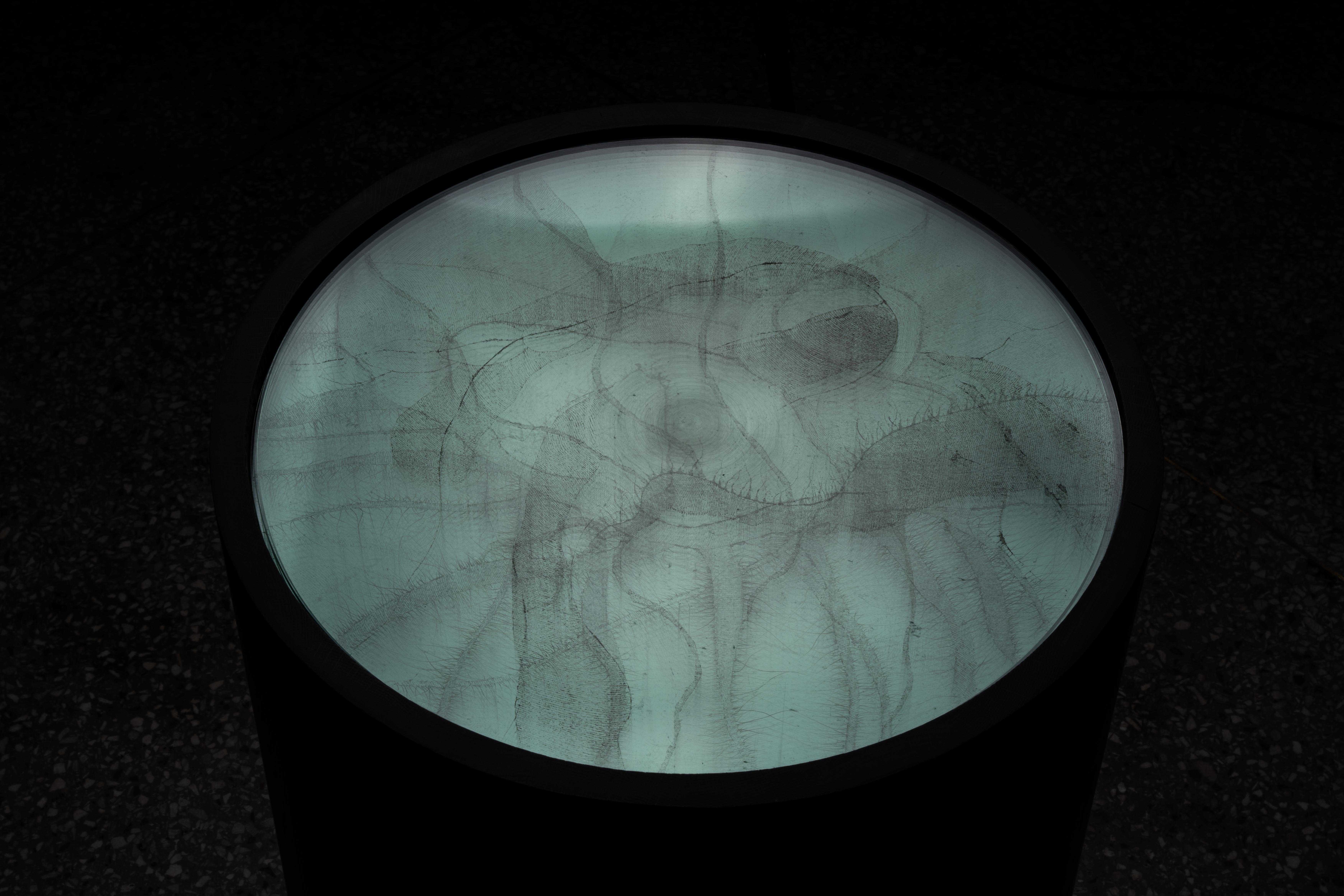 Your Languages Are Understood Through My Senses: Burning, 2024 (Dark Room View)