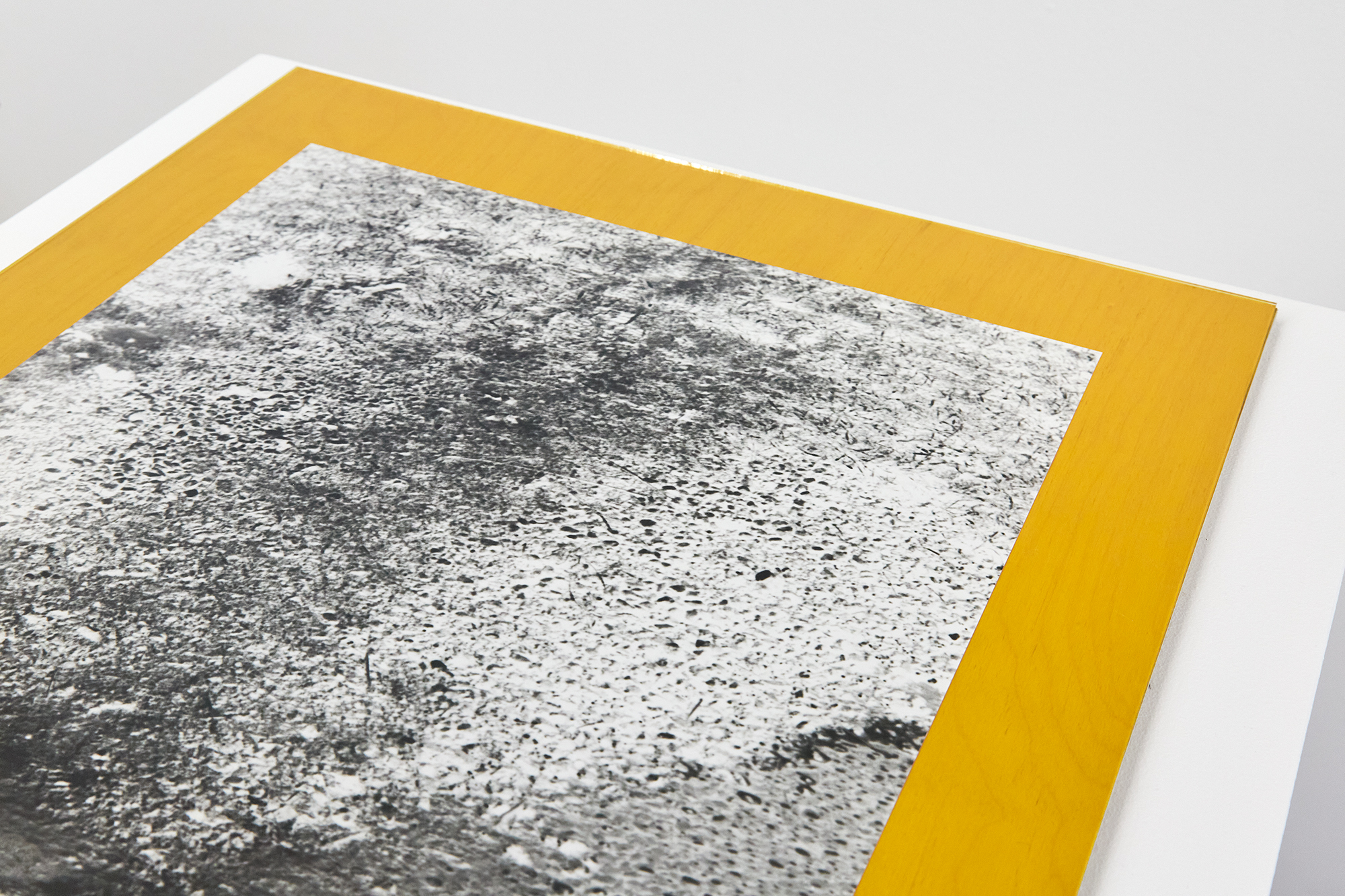 (Detail) Terence McCormack, (Untitled) Family Zone, 2024.