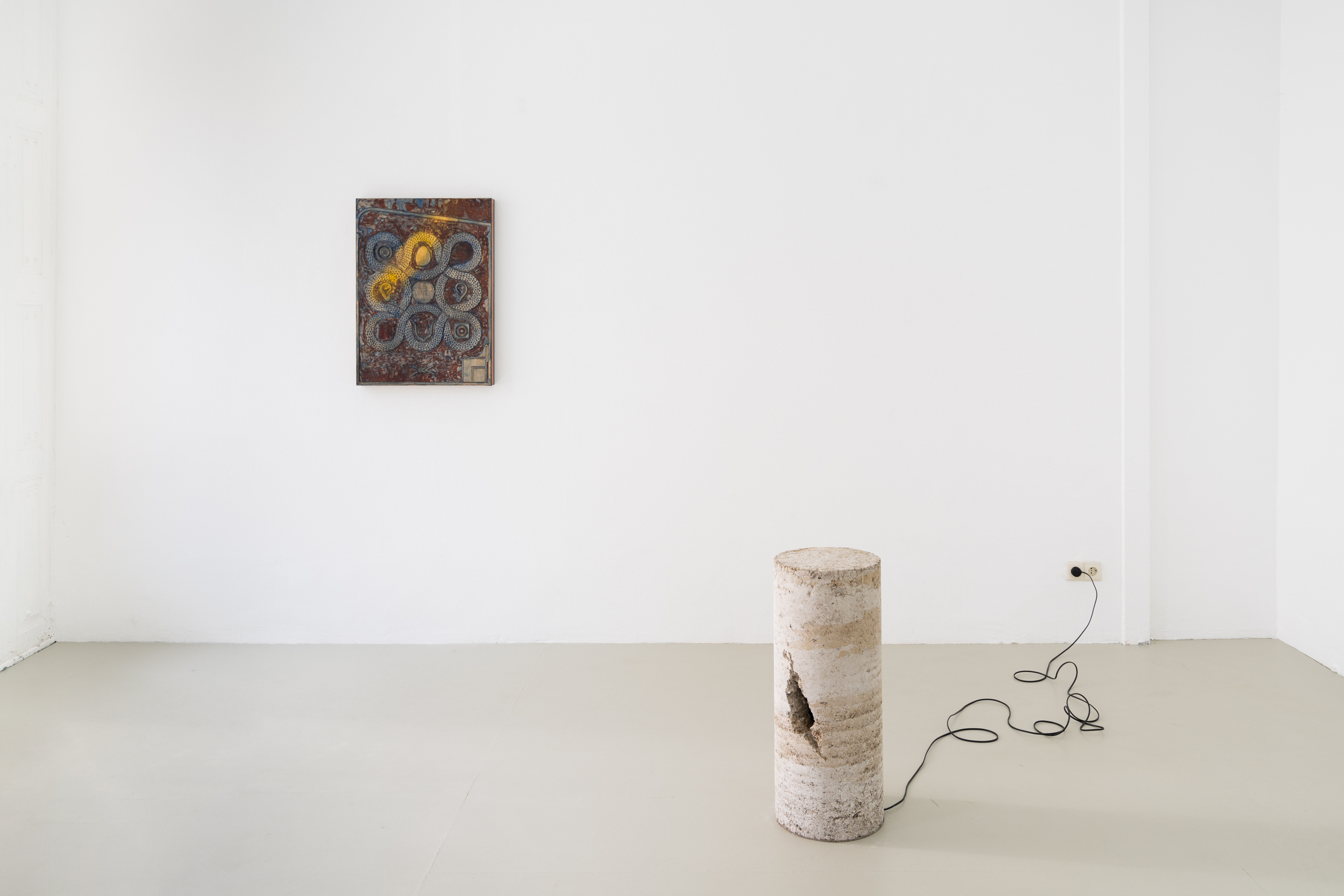Serpentinite, installation view, Caroline Delieutraz, Susi Gelb, Vicente Hirmas, PAW Gallery