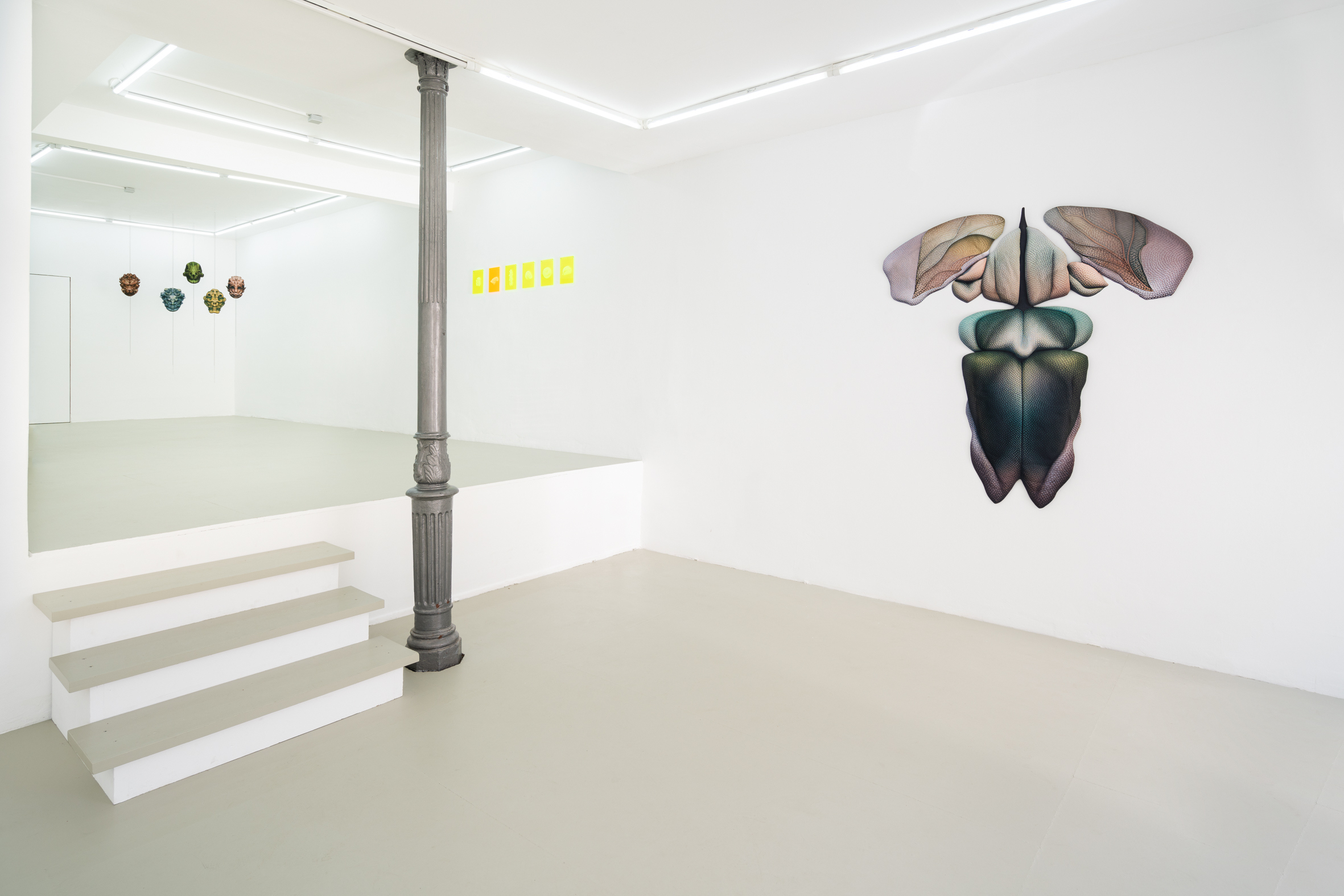 Serpentinite, installation view, Caroline Delieutraz, Susi Gelb, Vicente Hirmas, PAW Gallery