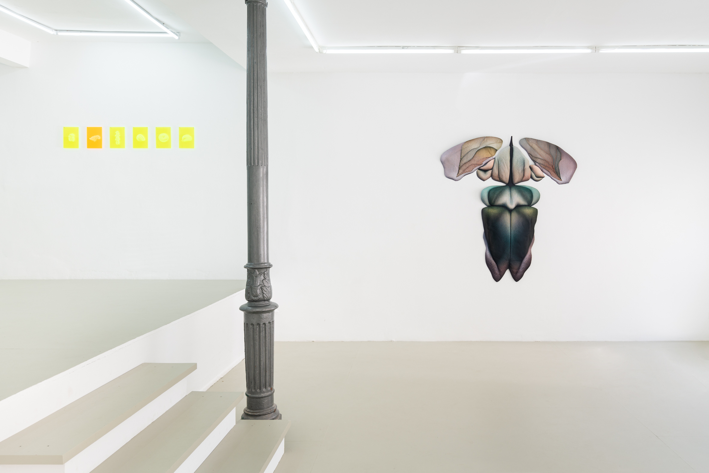 Serpentinite, installation view, Caroline Delieutraz, Susi Gelb, Vicente Hirmas, PAW Gallery