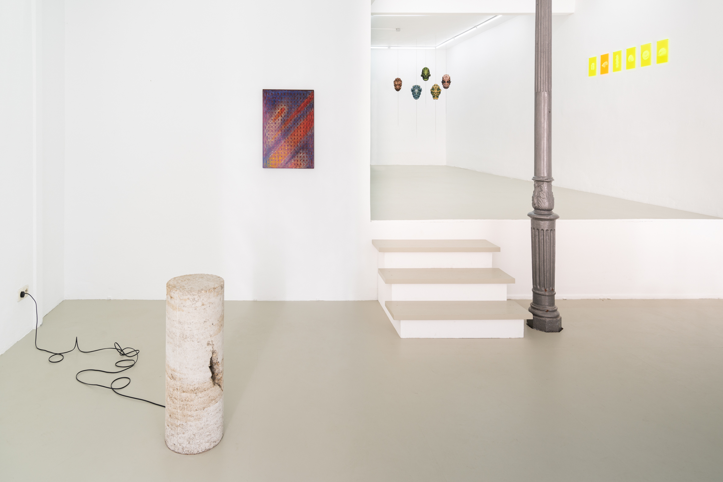 Serpentinite, installation view, Caroline Delieutraz, Susi Gelb, Vicente Hirmas, PAW Gallery
