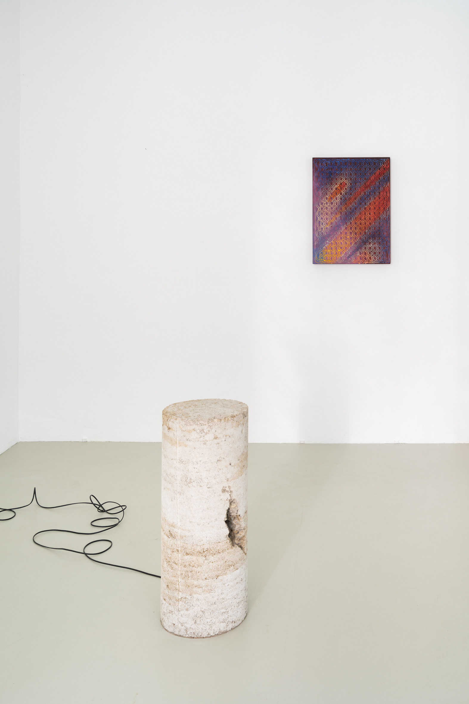 Serpentinite, installation view, Caroline Delieutraz, Susi Gelb, Vicente Hirmas, PAW Gallery