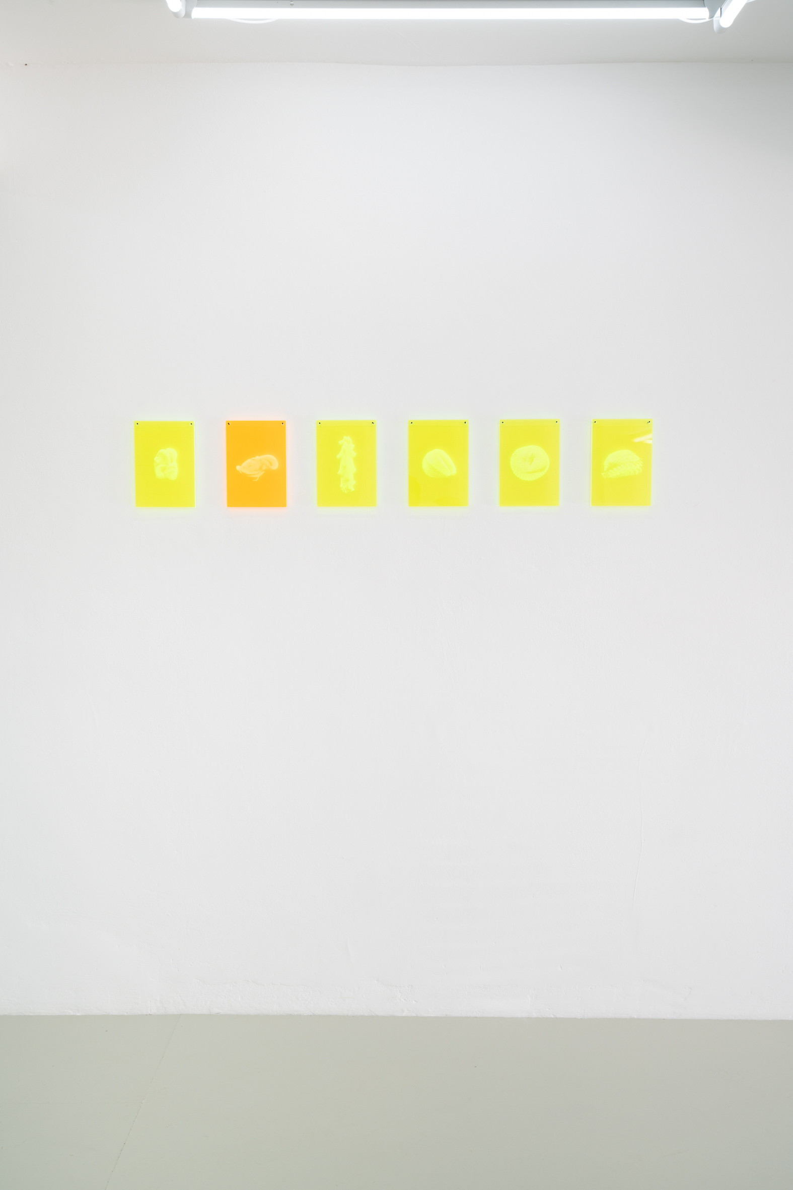 Susi Gelb, works from the "Mnemonic" series, installation view, PAW Gallery