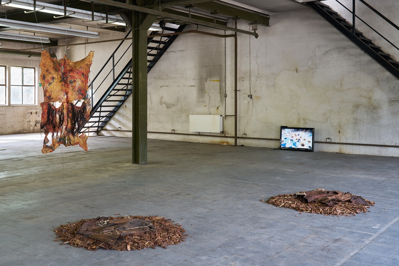 Subversive Threads installation view