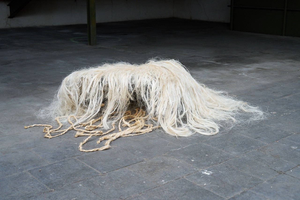 Bubu Ogisi: I am not myself / celestial beings, 2024