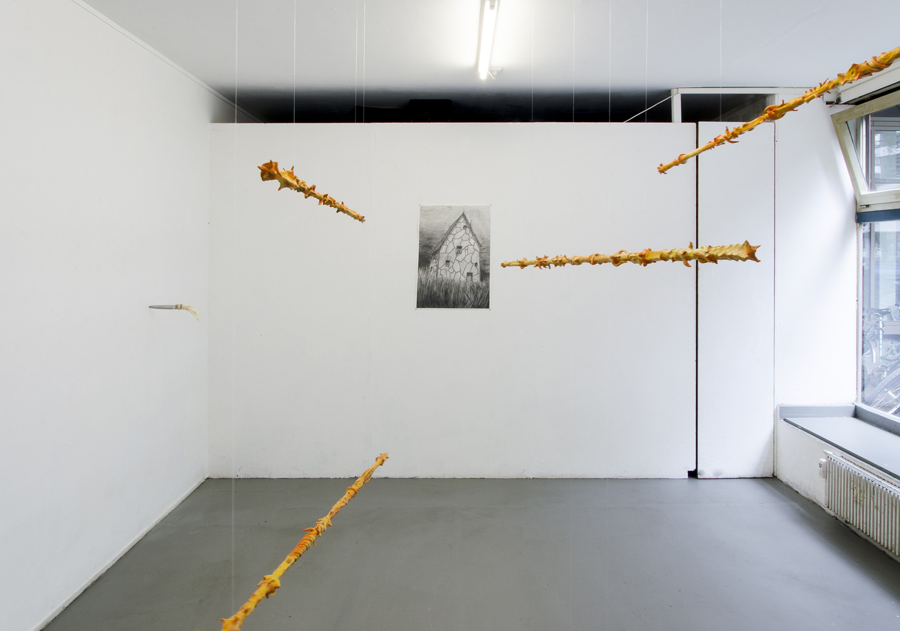 exhibition view