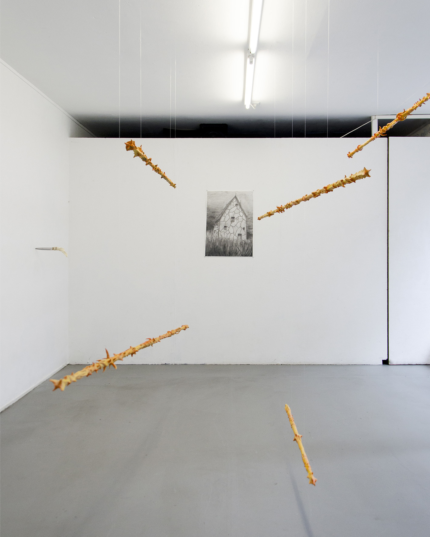 exhibition view
