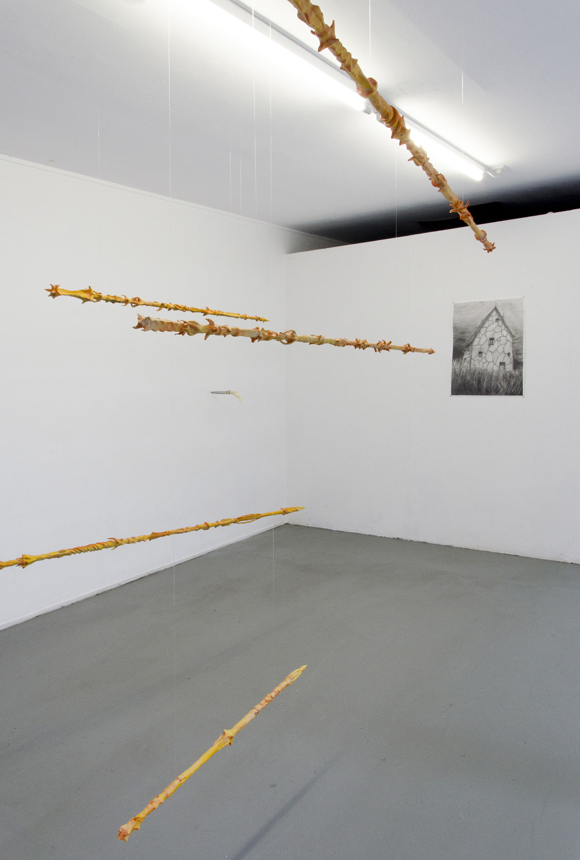 exhibition view