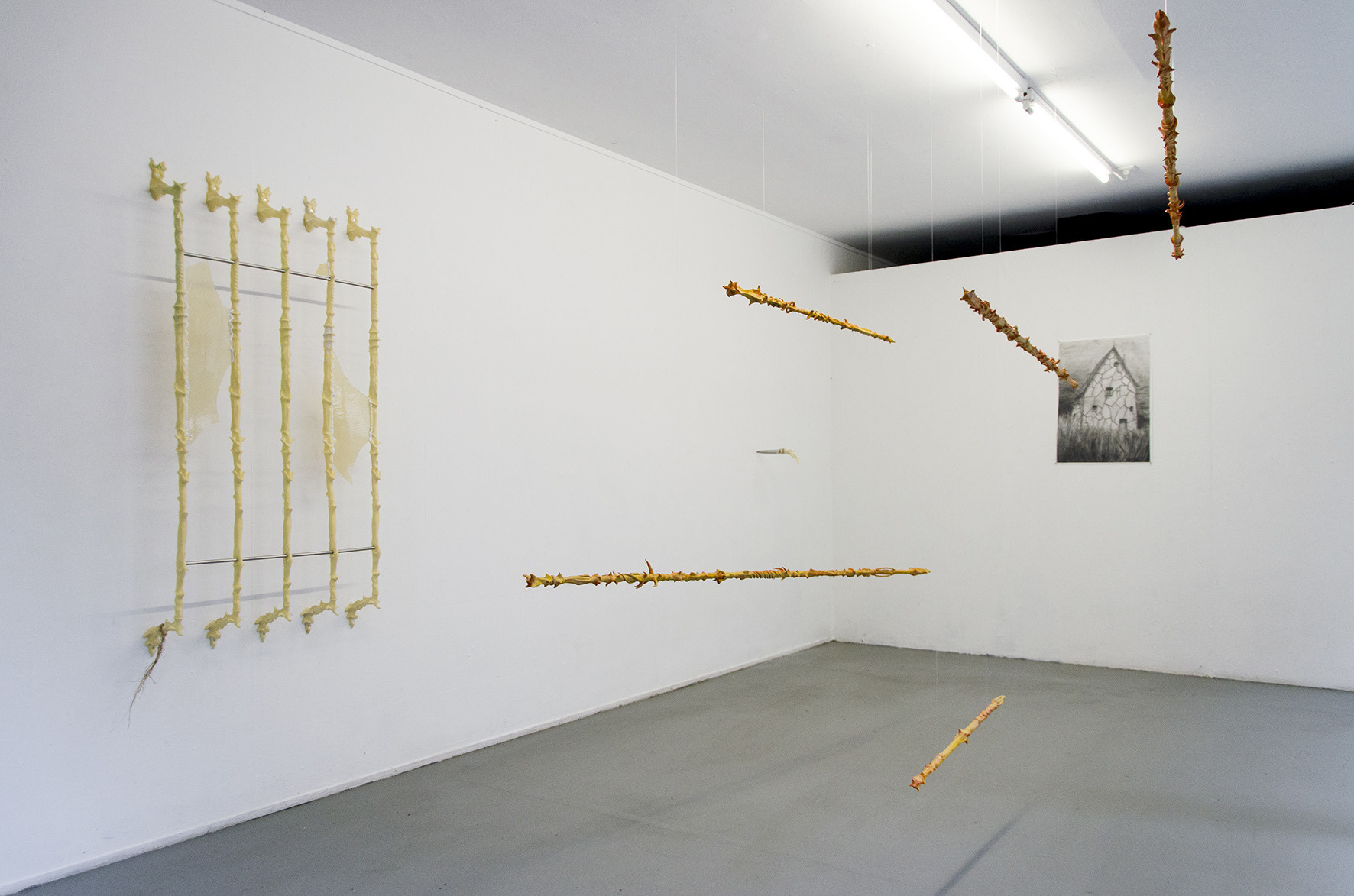 exhibition view