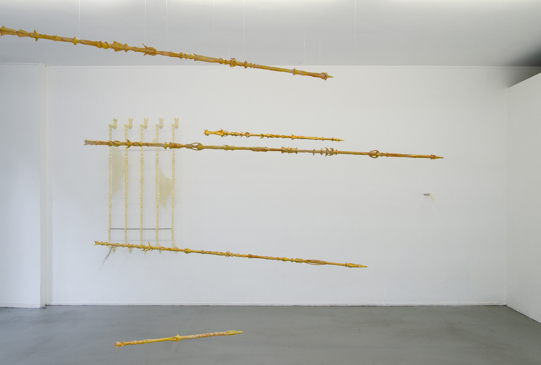 exhibition view