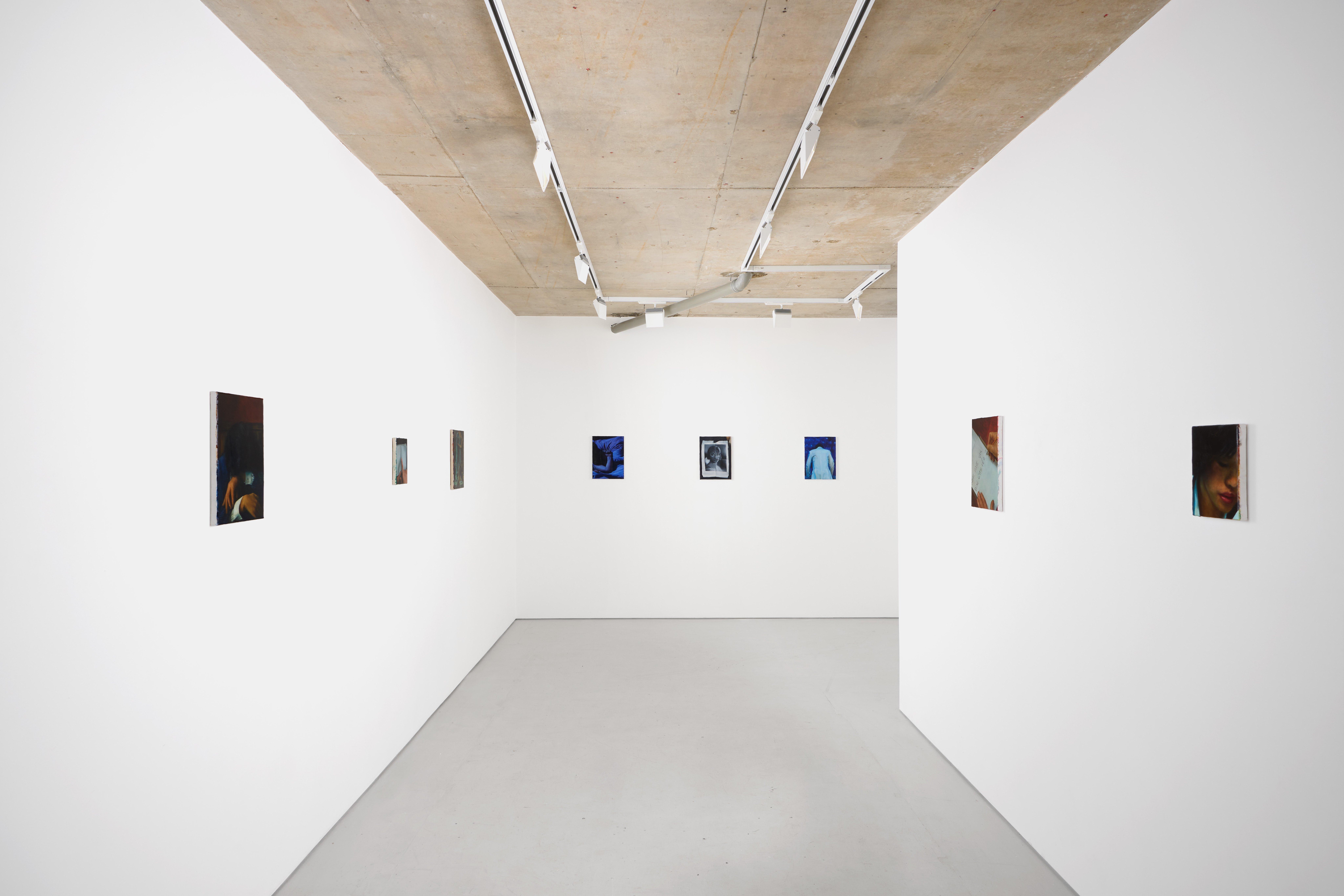 Installation view 1, Alice Amati | Annabelle Agbo Godeau: What have you done with her? (Part 2)