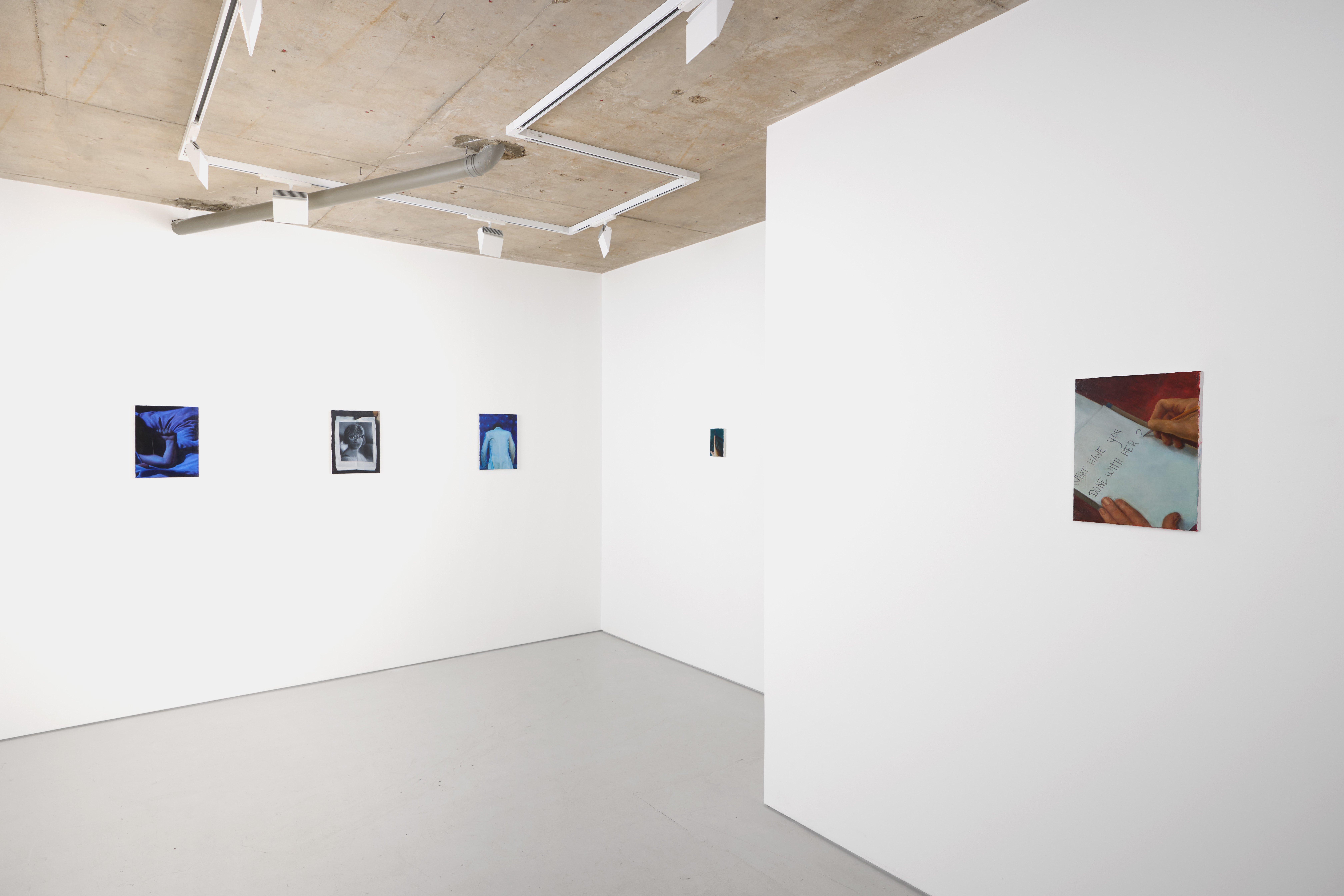 Installation view 2, Alice Amati | Annabelle Agbo Godeau: What have you done with her? (Part 2)