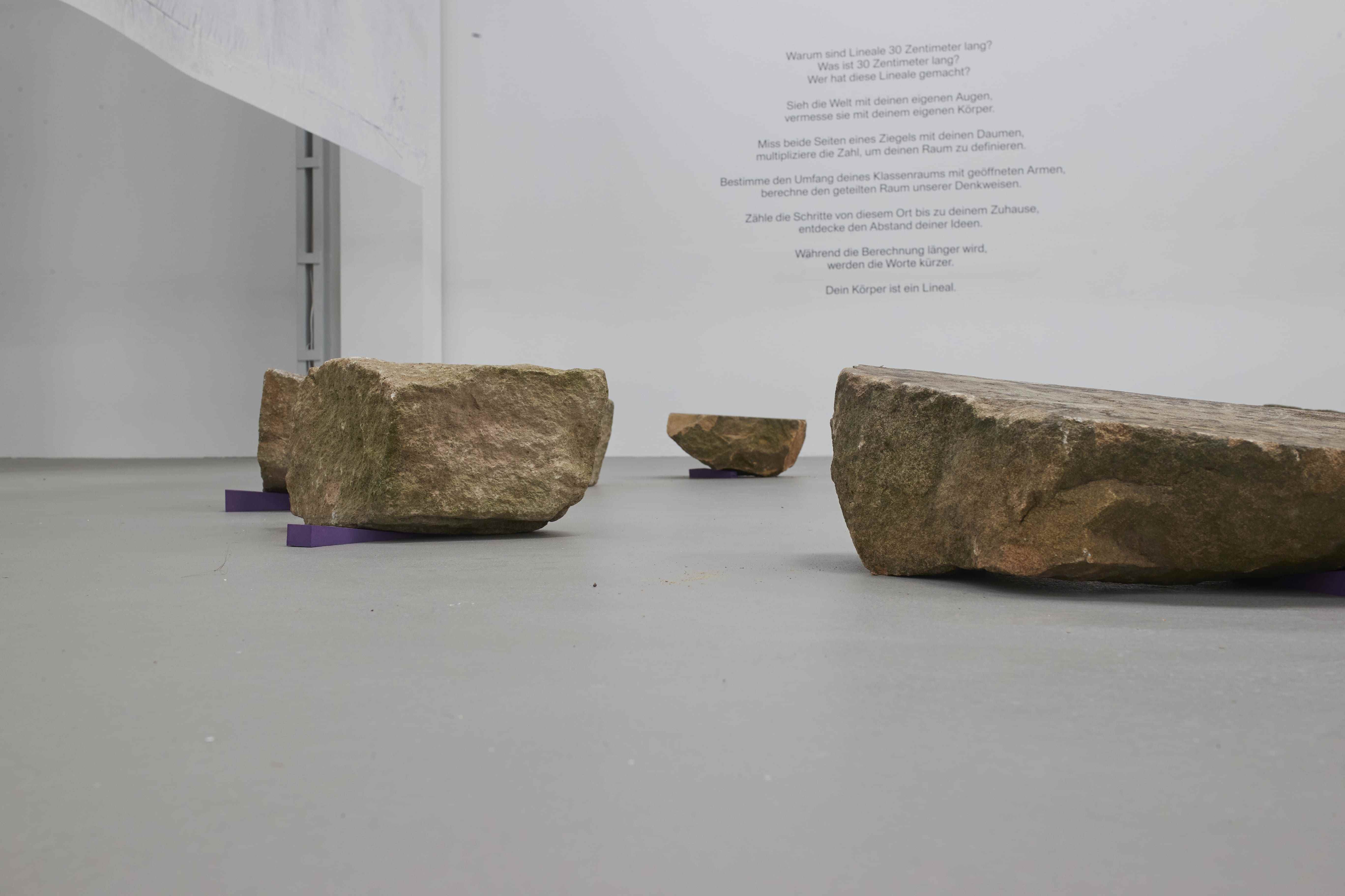 nicolás paris: Manigua. Installationsansicht Kunsthalle Münster 2024. Courtesy the artist, Foto: Kunsthalle Münster / Volker Renner