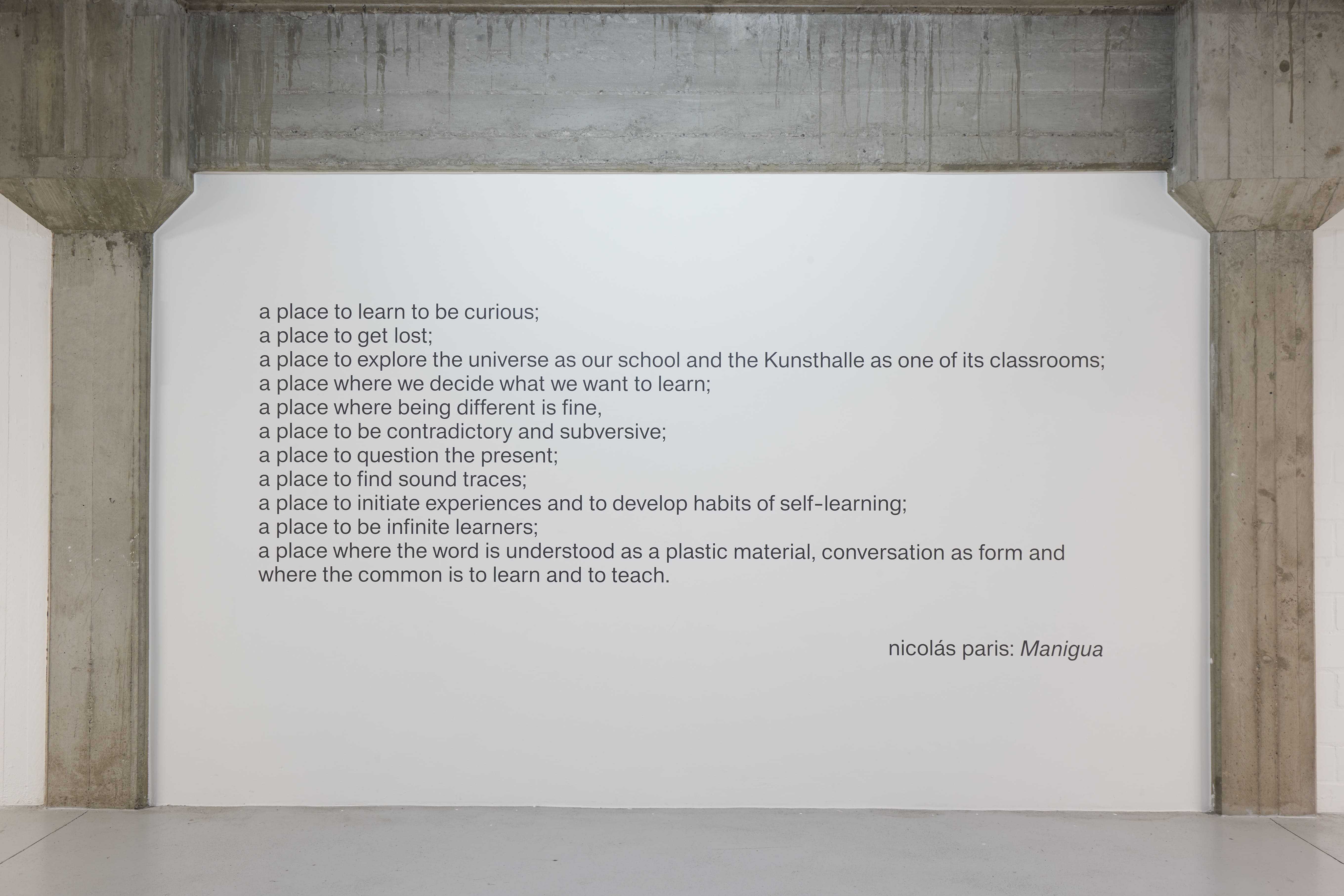 nicolás paris: Manigua. Installationsansicht Kunsthalle Münster 2024. Courtesy the artist, Foto: Kunsthalle Münster / Volker Renner