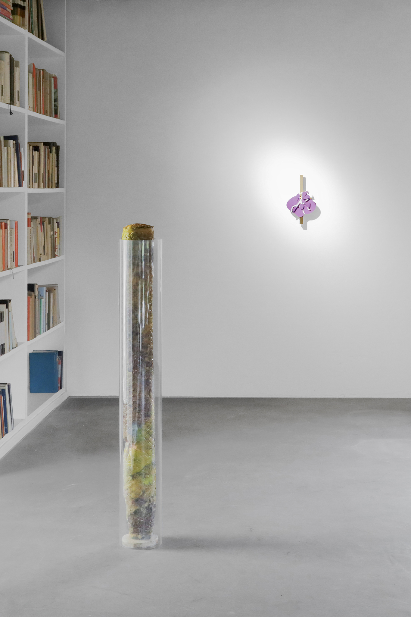 Edoardo Manzoni “Vesparia” at Lunetta11, Mombarcaro, 2024. Courtesy: the artist and Lunetta11. Photo: Matteo Viti