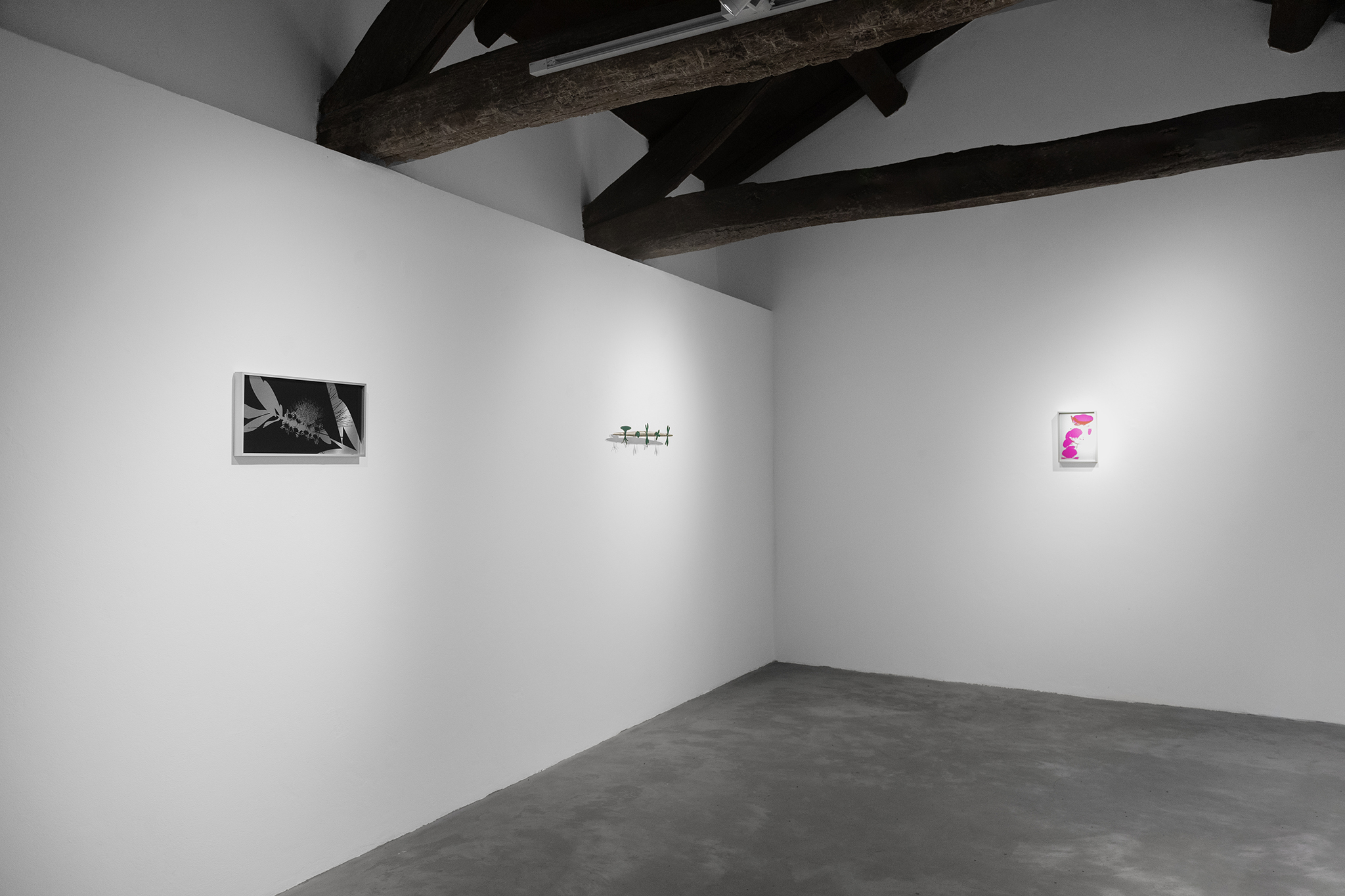 Edoardo Manzoni “Vesparia” at Lunetta11, Mombarcaro, 2024. Courtesy: the artist and Lunetta11. Photo: Matteo Viti