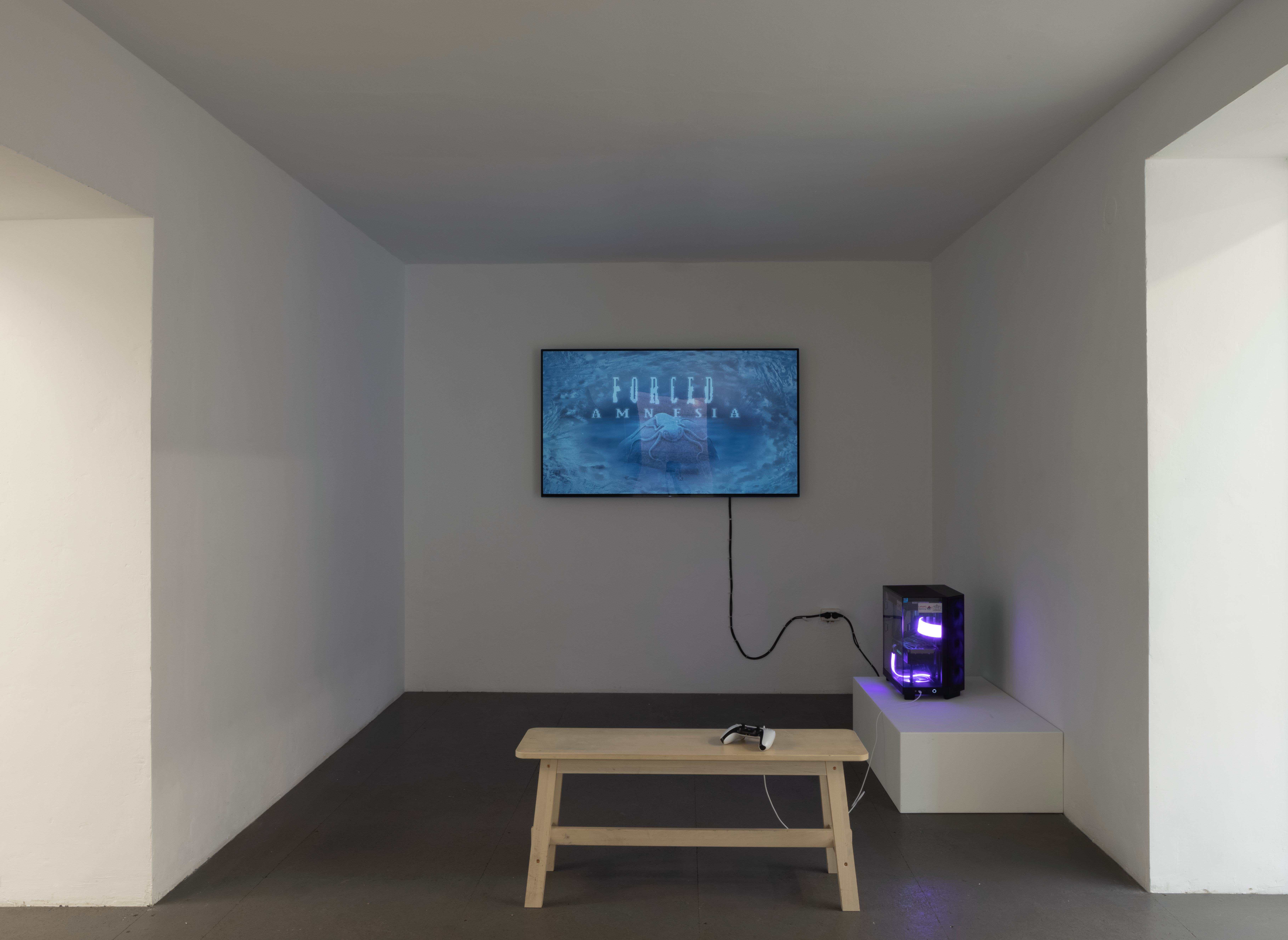 Mary-Audrey Ramirez, Companions, exhibition view, MARTINETZ, Cologne, 2024 Courtesy: the artist and MARTINETZ, Cologne Photo: Tamara Lorenz