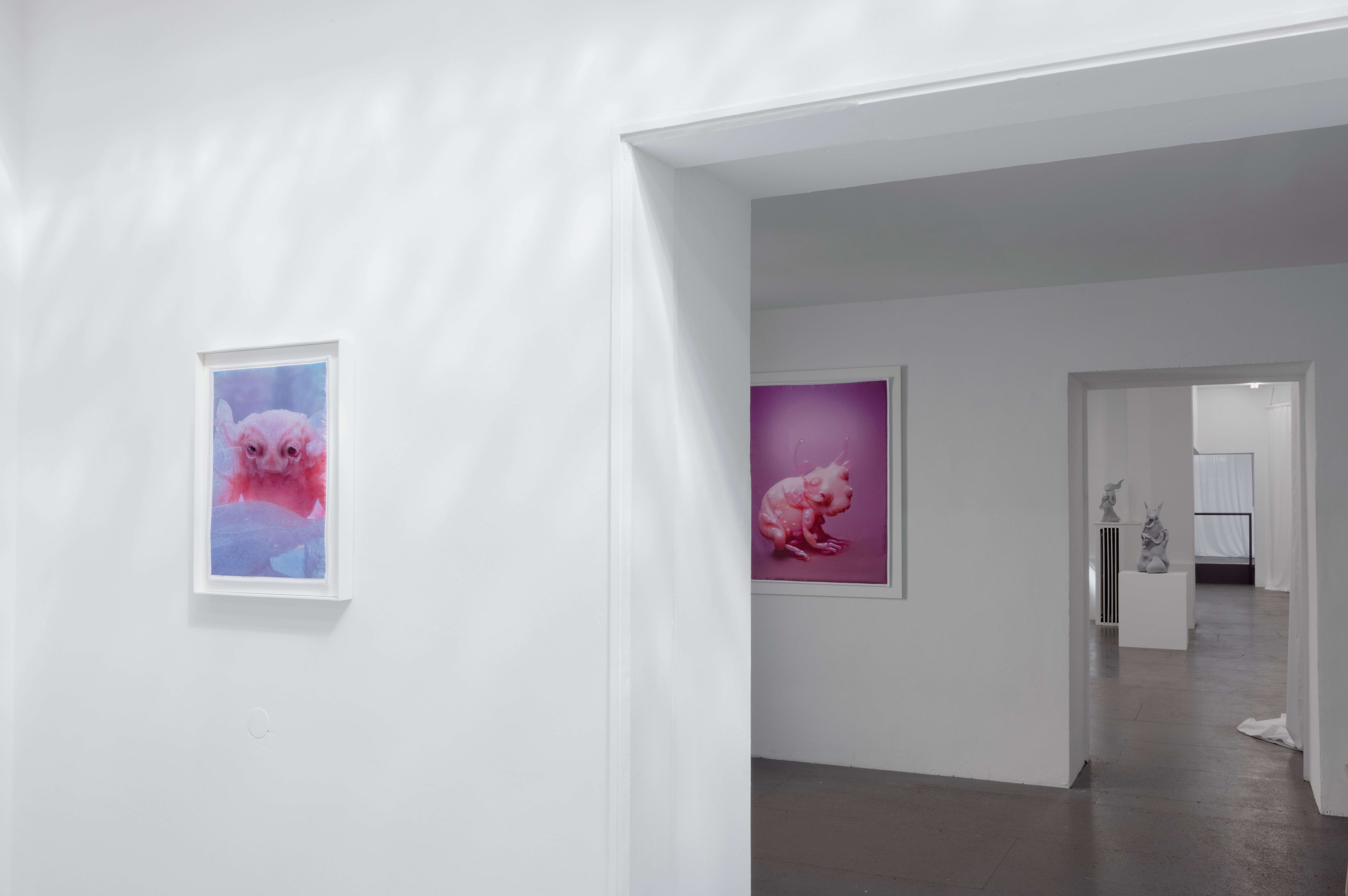 Mary-Audrey Ramirez, Companions, exhibition view, MARTINETZ, Cologne, 2024 Courtesy: the artist and MARTINETZ, Cologne Photo: Tamara Lorenz