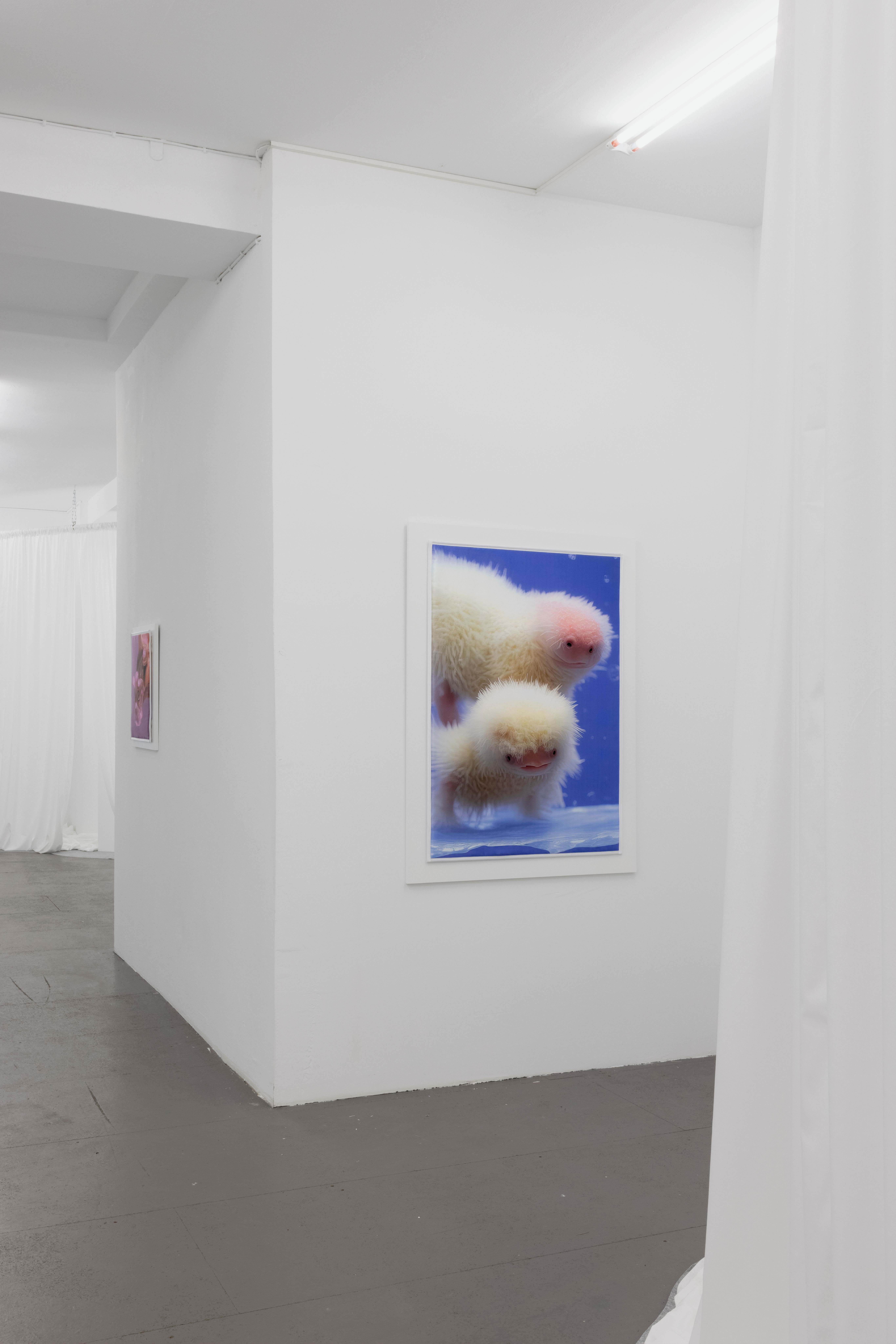 Mary-Audrey Ramirez, Companions, exhibition view, MARTINETZ, Cologne, 2024 Courtesy: the artist and MARTINETZ, Cologne Photo: Tamara Lorenz