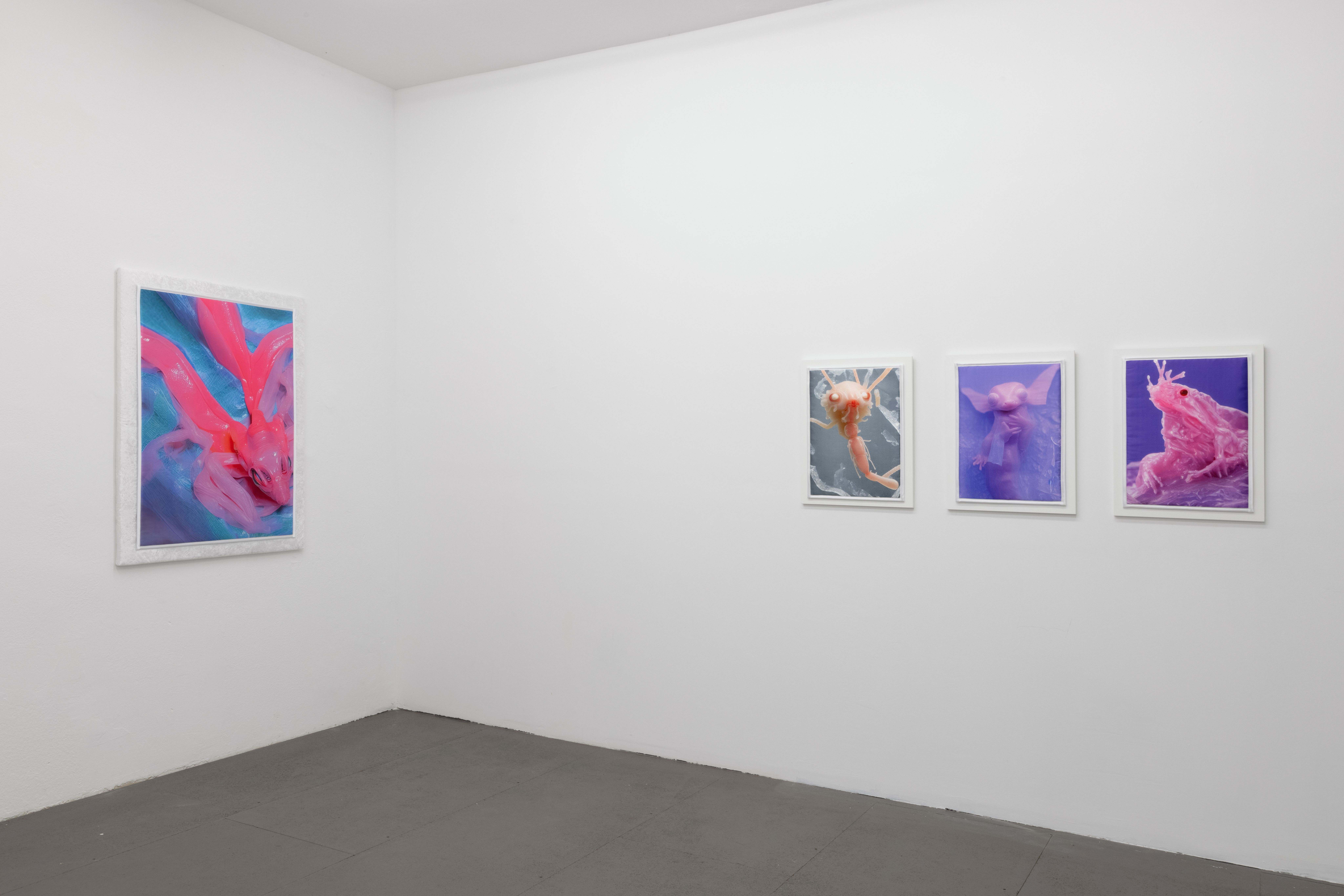 Mary-Audrey Ramirez, Companions, exhibition view, MARTINETZ, Cologne, 2024 Courtesy: the artist and MARTINETZ, Cologne Photo: Tamara Lorenz