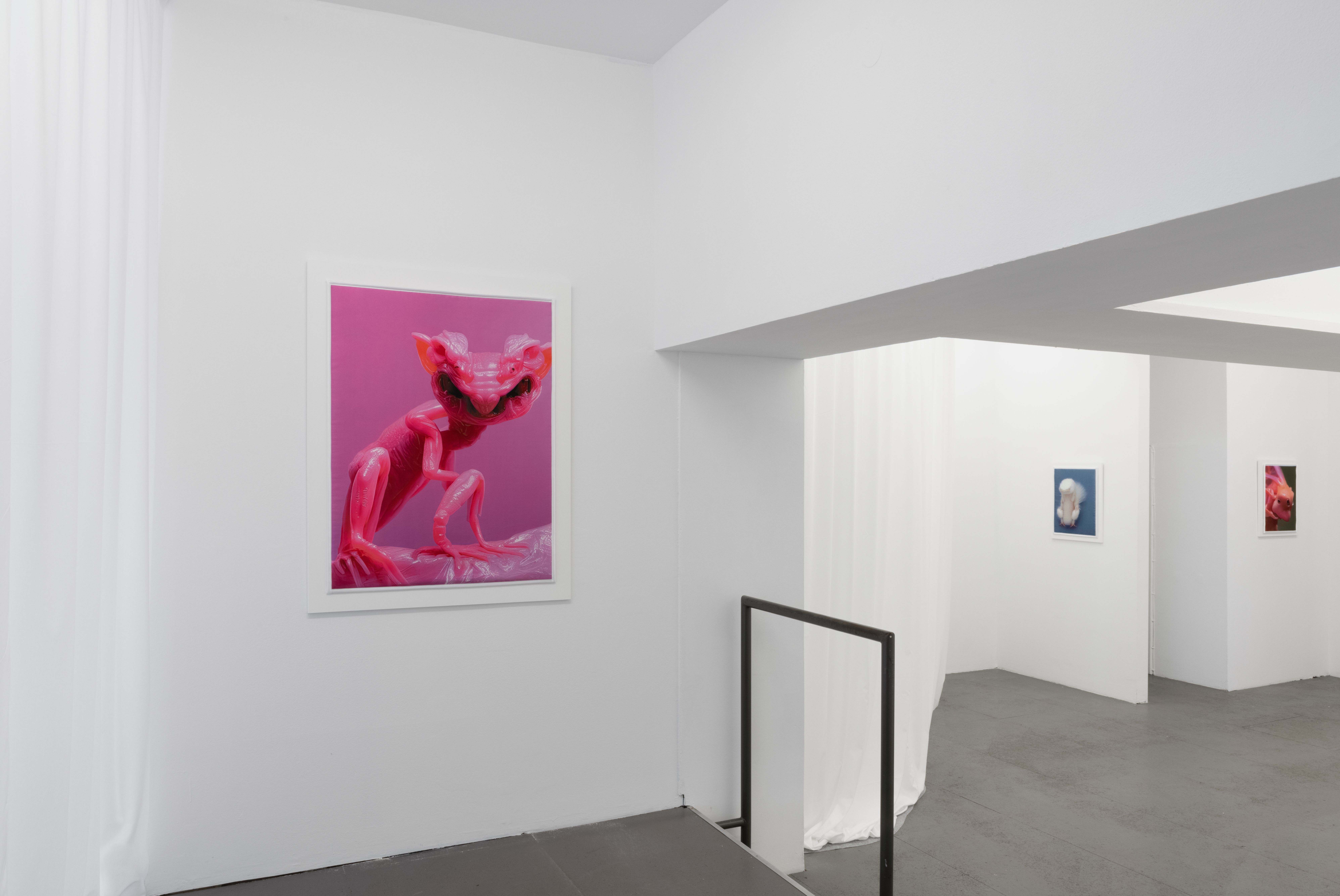 Mary-Audrey Ramirez, Companions, exhibition view, MARTINETZ, Cologne, 2024 Courtesy: the artist and MARTINETZ, Cologne Photo: Tamara Lorenz