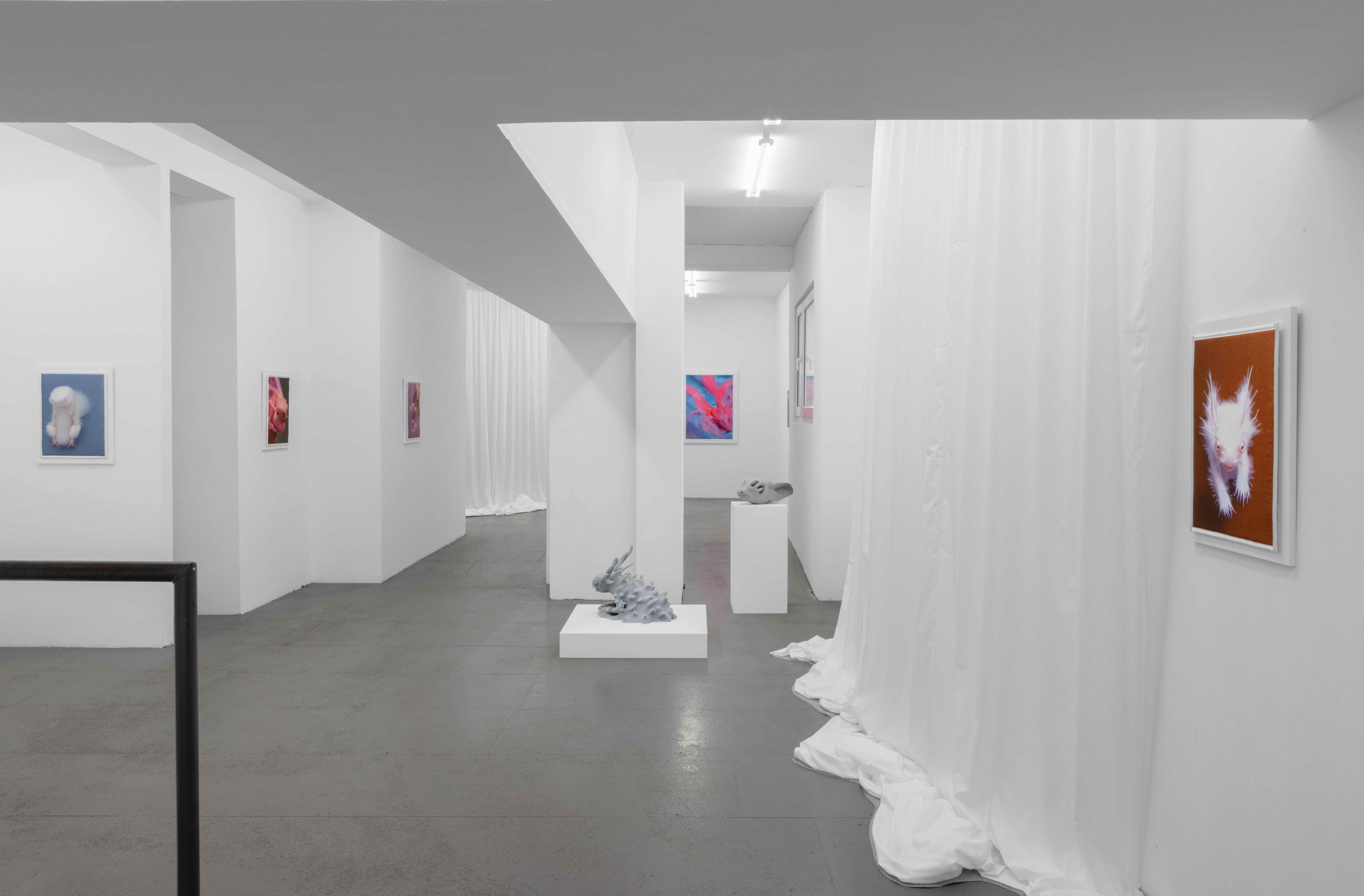 Mary-Audrey Ramirez, Companions, exhibition view, MARTINETZ, Cologne, 2024 Courtesy: the artist and MARTINETZ, Cologne Photo: Tamara Lorenz