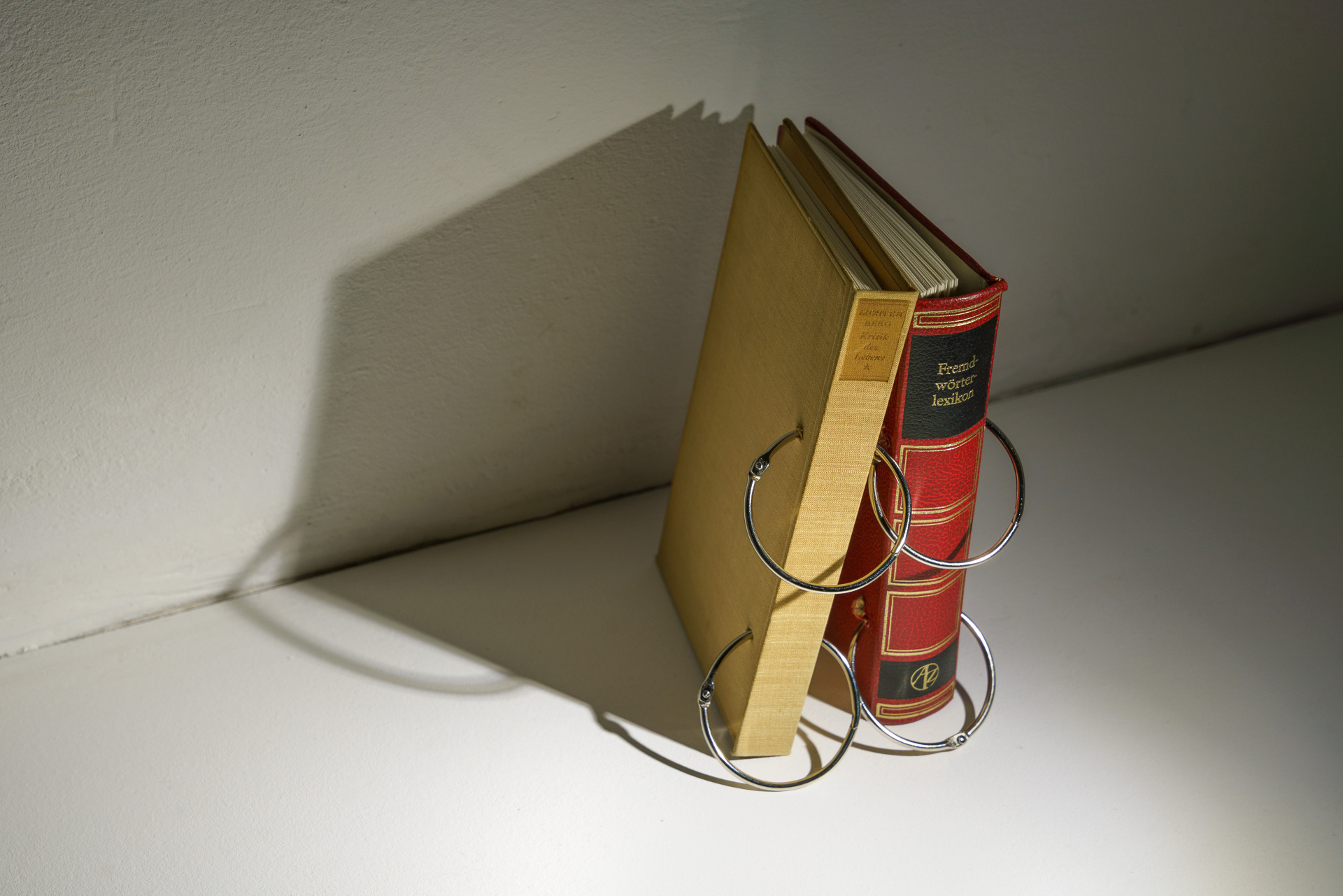 CUTT Press, Pina Bendfeld, âThere Was, There Wasnât. Fables in Fragmentsâ, 2024, Photo by Jana Buch