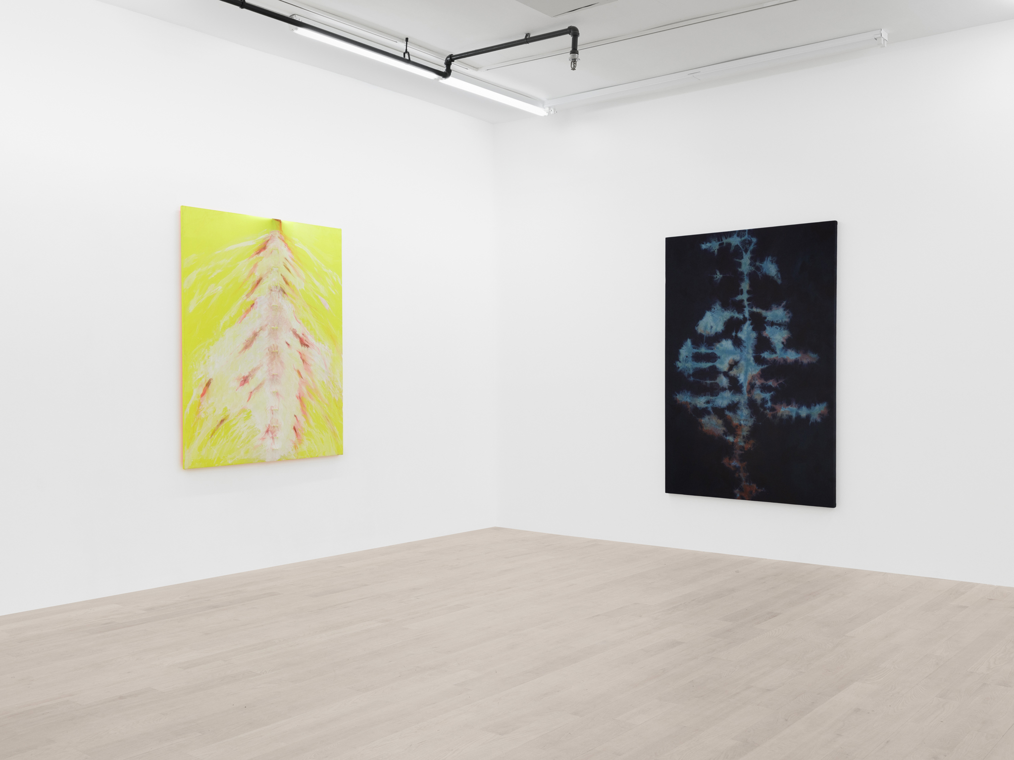 Tahir Karmali, Eternal Rent, Installation view