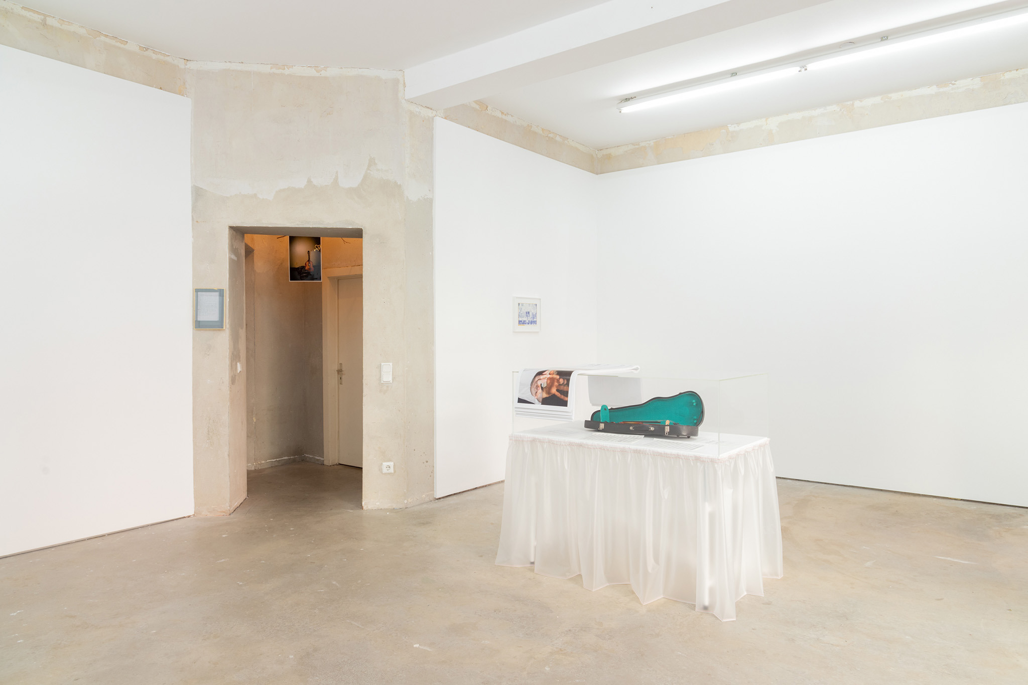 Verena Dengler, der goldene Käfer, New Toni, Berlin, 2024, installation view