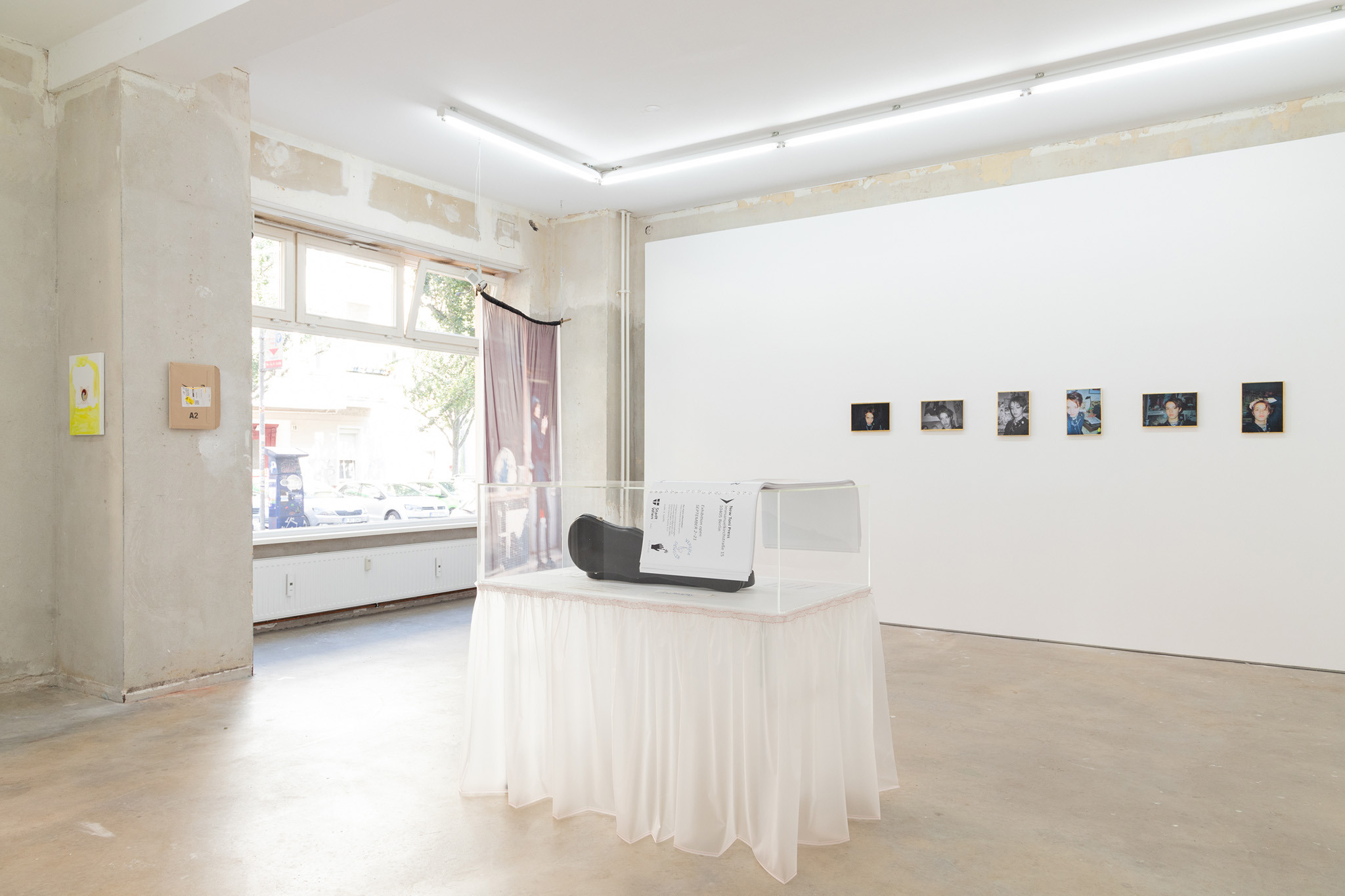 Verena Dengler, der goldene Käfer, New Toni, Berlin, 2024, installation view