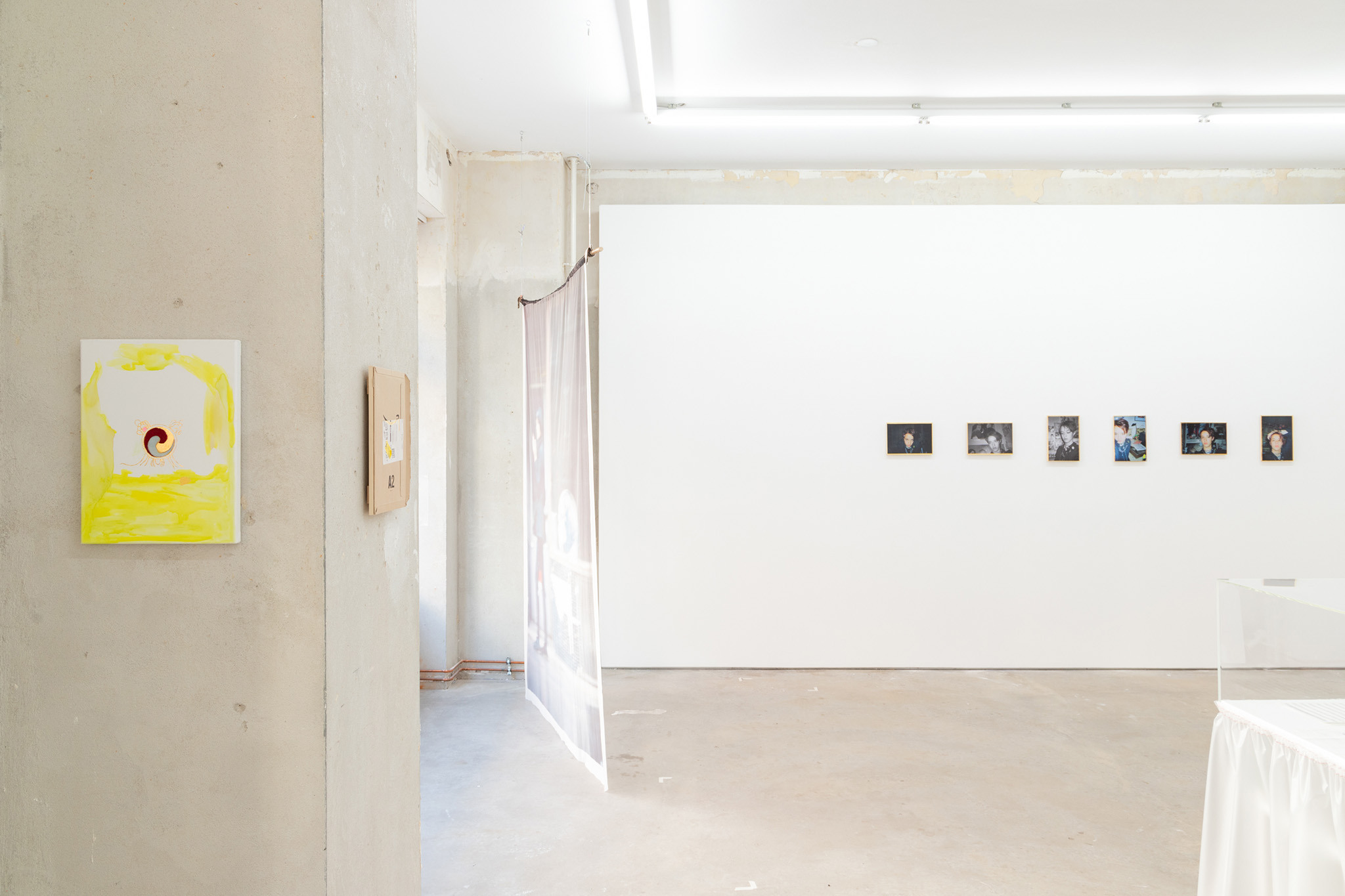 Verena Dengler, der goldene Käfer, New Toni, Berlin, 2024, installation view
