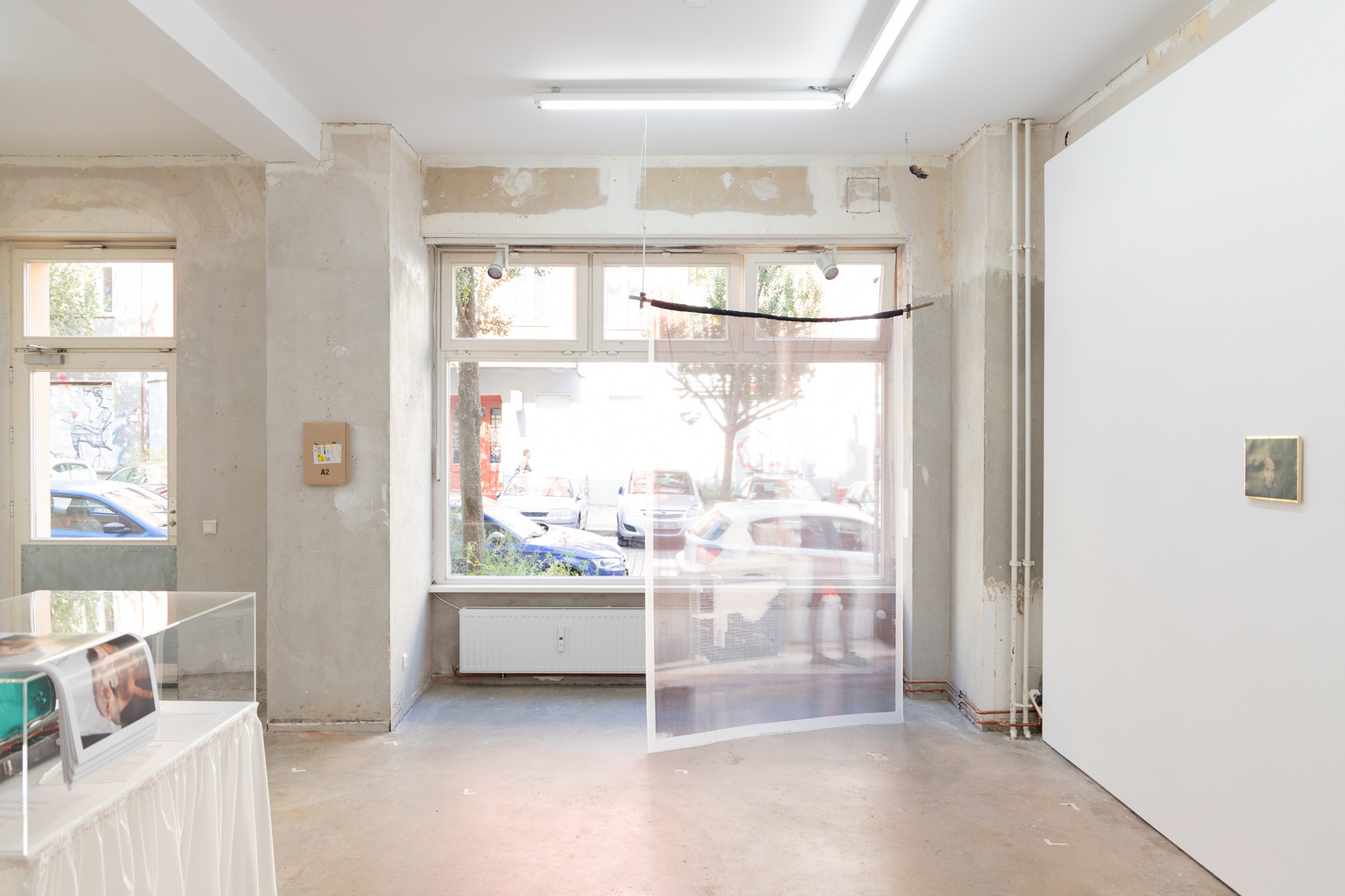 Verena Dengler, der goldene Käfer, New Toni, Berlin, 2024, installation view