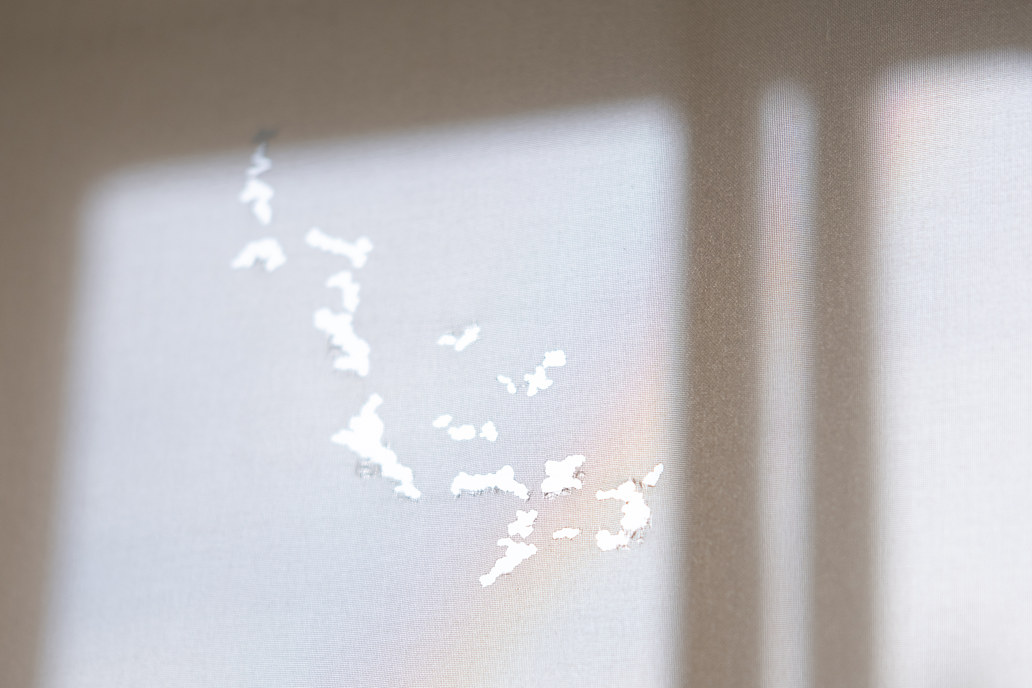 "Familiar shapes appeared on the clouds / the wood paneling / your skin", dyed polyester, laser beam, hand washing, corn starch, 2024 / Essi Immonen