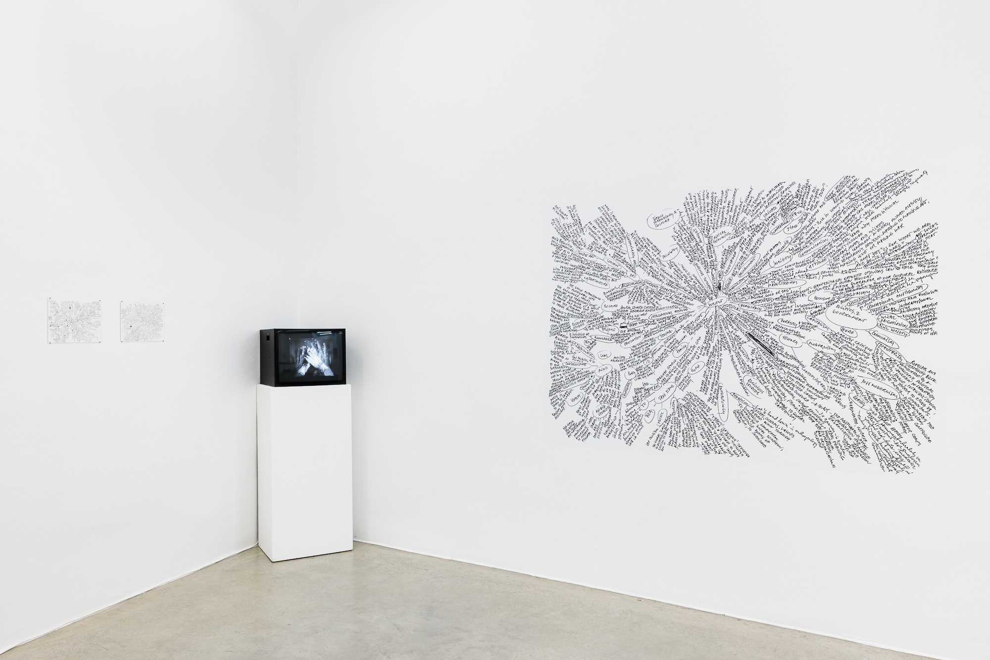 Exhibition view “What do I want to know?” | curated_by Friedemann Malsch, Christine König Galerie, Vienna 2024
