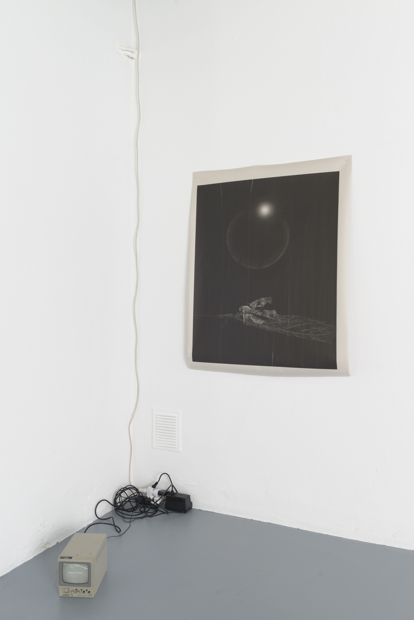Exhibition view, Dylan Hausthor, Standard/Deluxe, Lausanne, 2024 / Photo : YAL / Courtesy : the artists and Standard/Deluxe