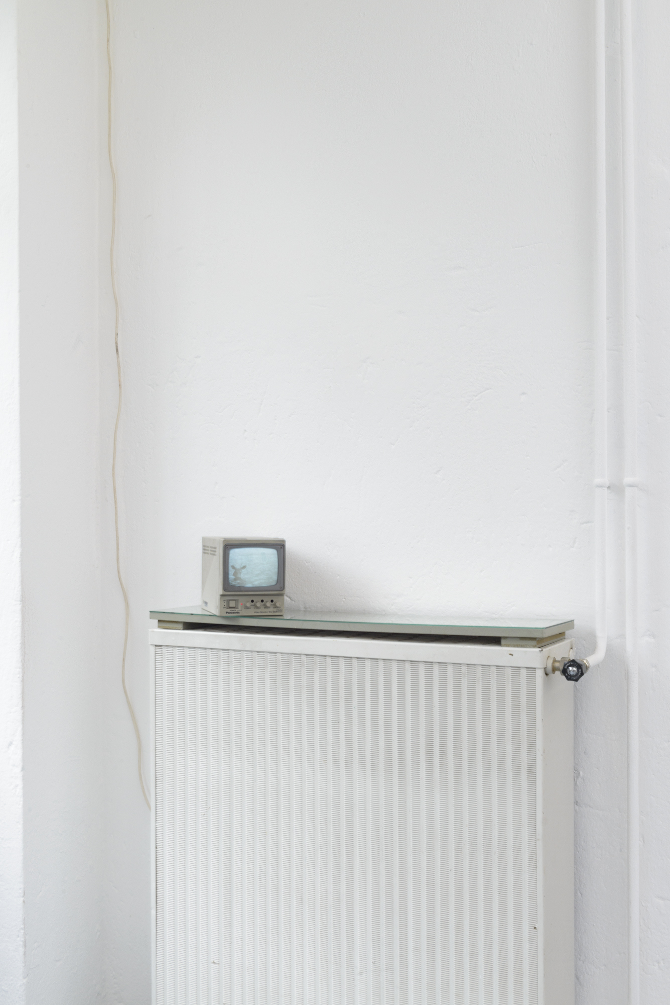 Dylan Hausthor, « a young buck taking a swim, as seen in the belgrade summer news », 2024, Analog TV broadcast / Photo : YAL / Courtesy : the artists and Standard/Deluxe