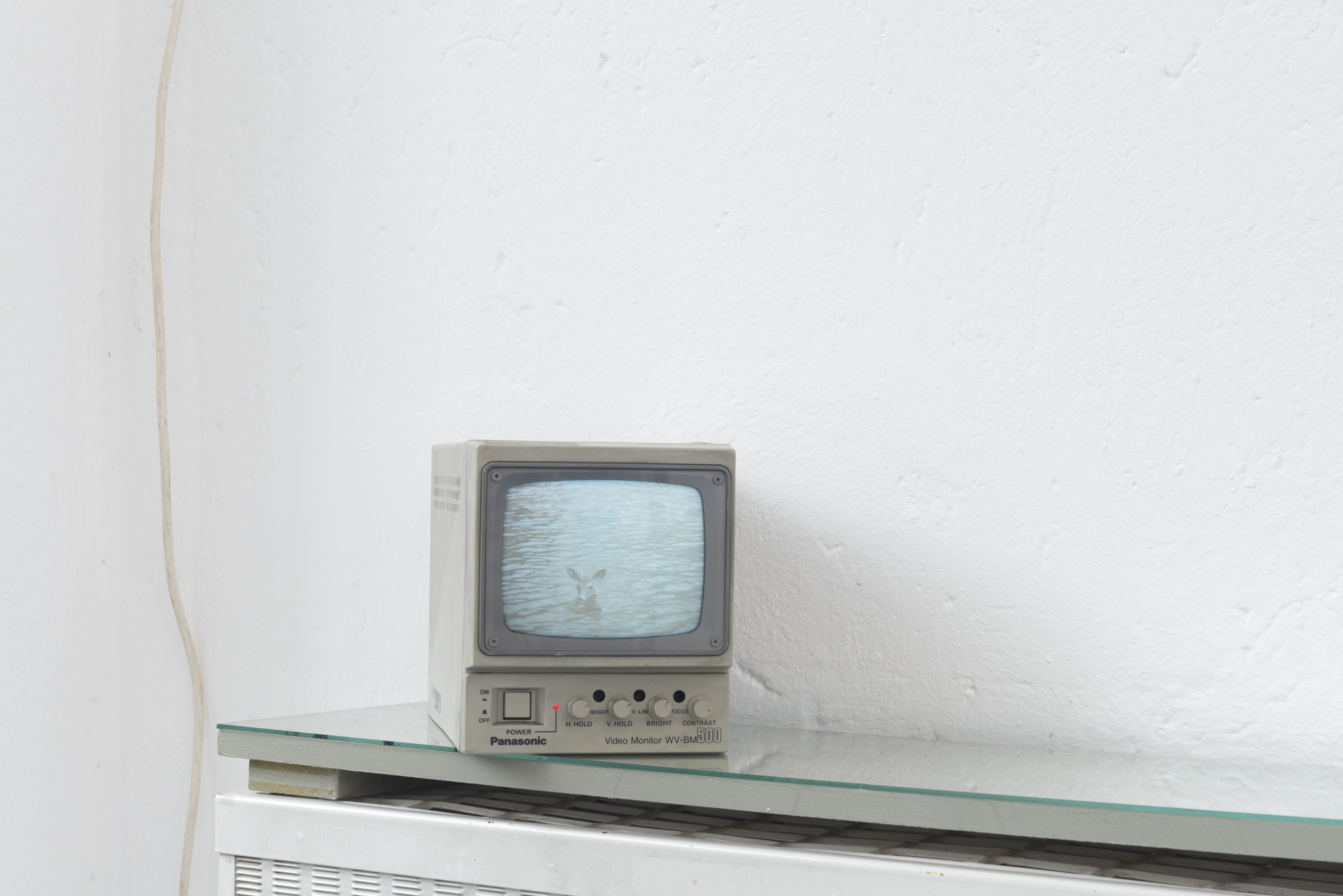 Dylan Hausthor, « a young buck taking a swim, as seen in the belgrade summer news », 2024, Analog TV broadcast / Photo : YAL / Courtesy : the artists and Standard/Deluxe