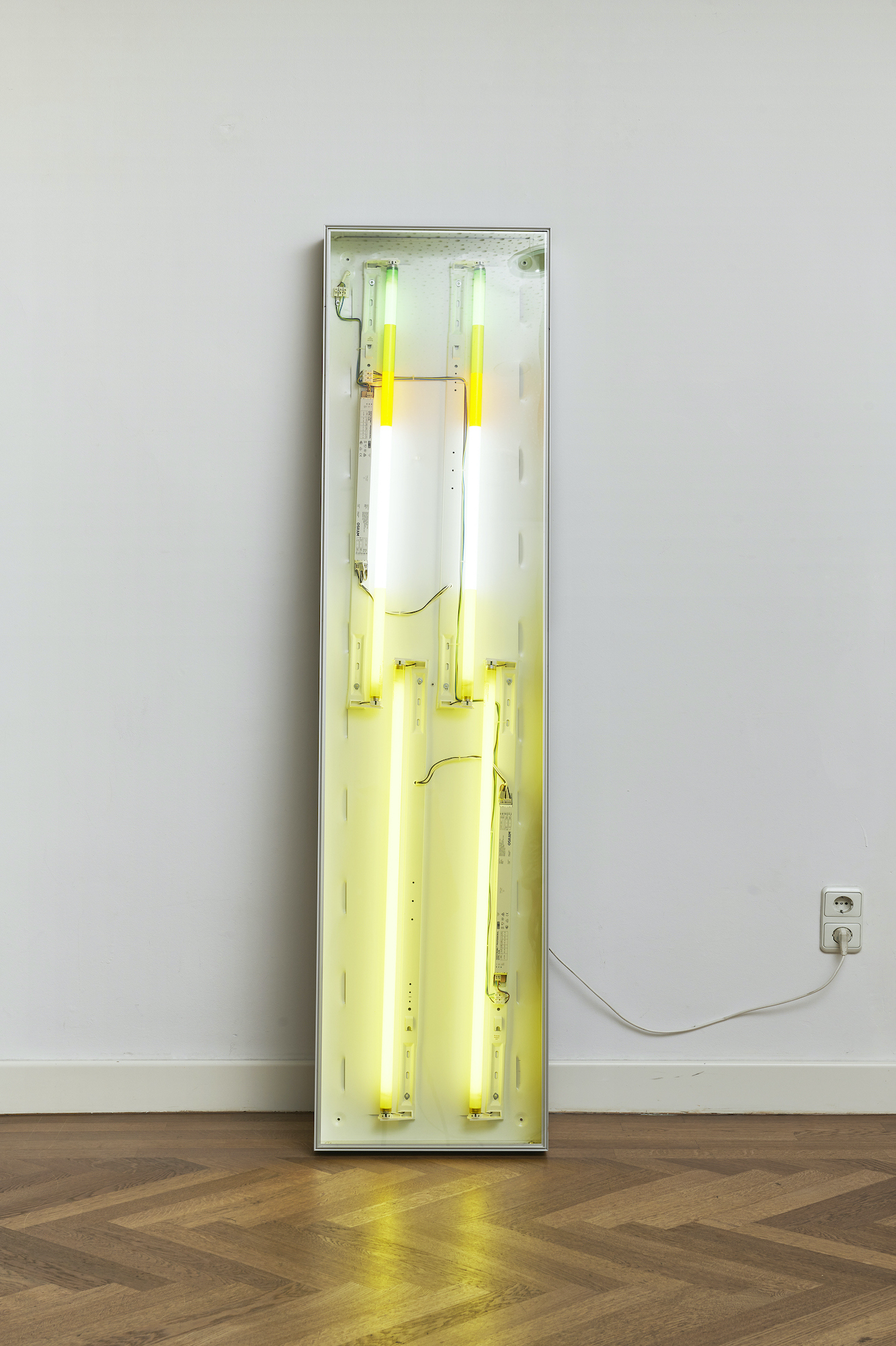 Roman Cherezov, untitled (Gefährliche Lilien), 2023, Light box with 4 fluorescent tubes, colour filter UV protected