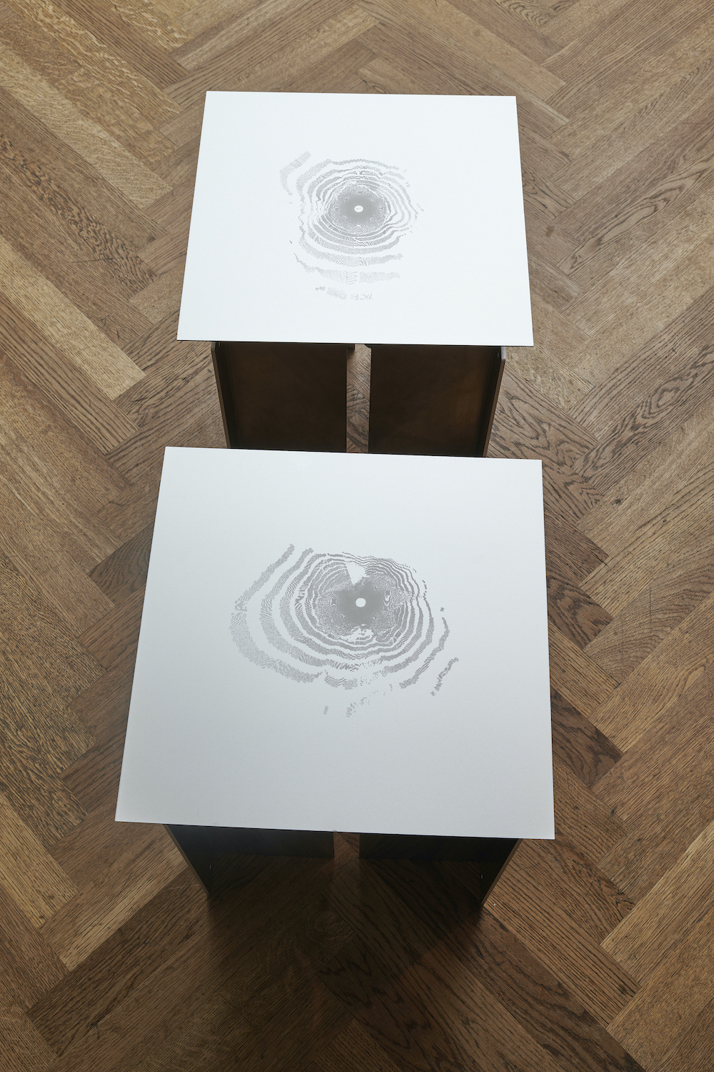 Ilinca Fechete, INDIVIDUATION ACCORDING TO SIMONDON I & II, 2024, Laser engraving on aluminium