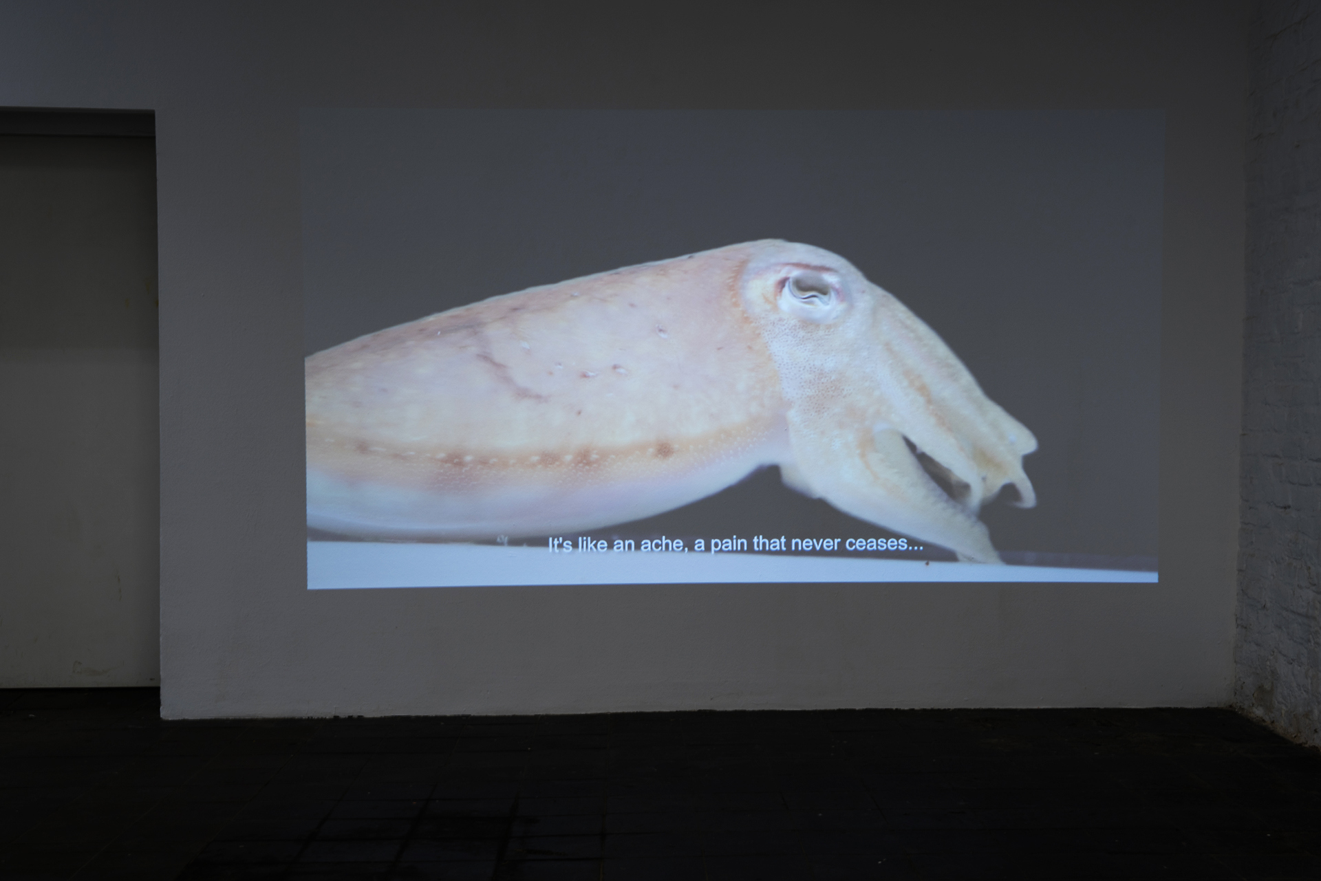 Exhibition view: Bianca Baldi