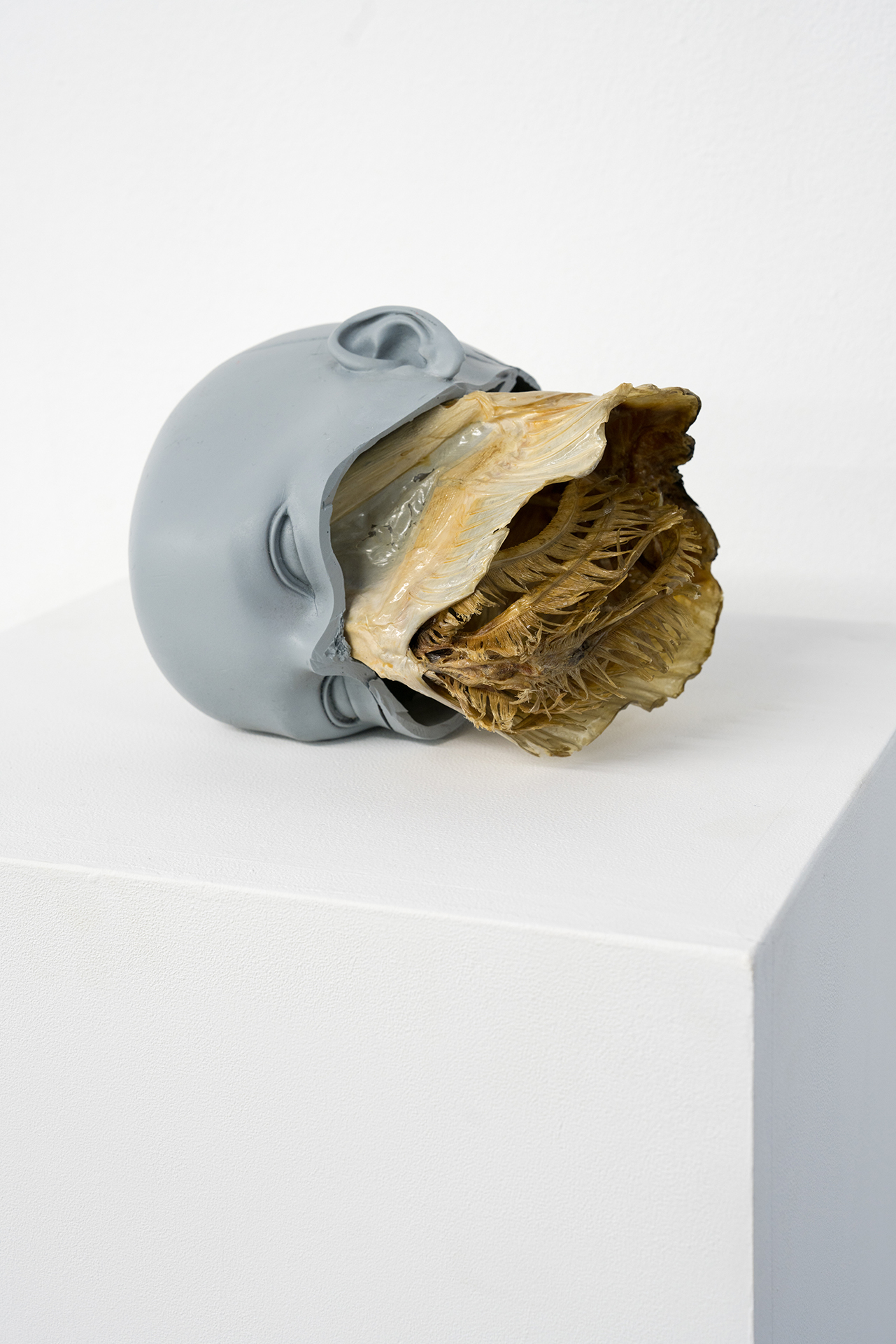 Exhibition view: Nicolas Lamas