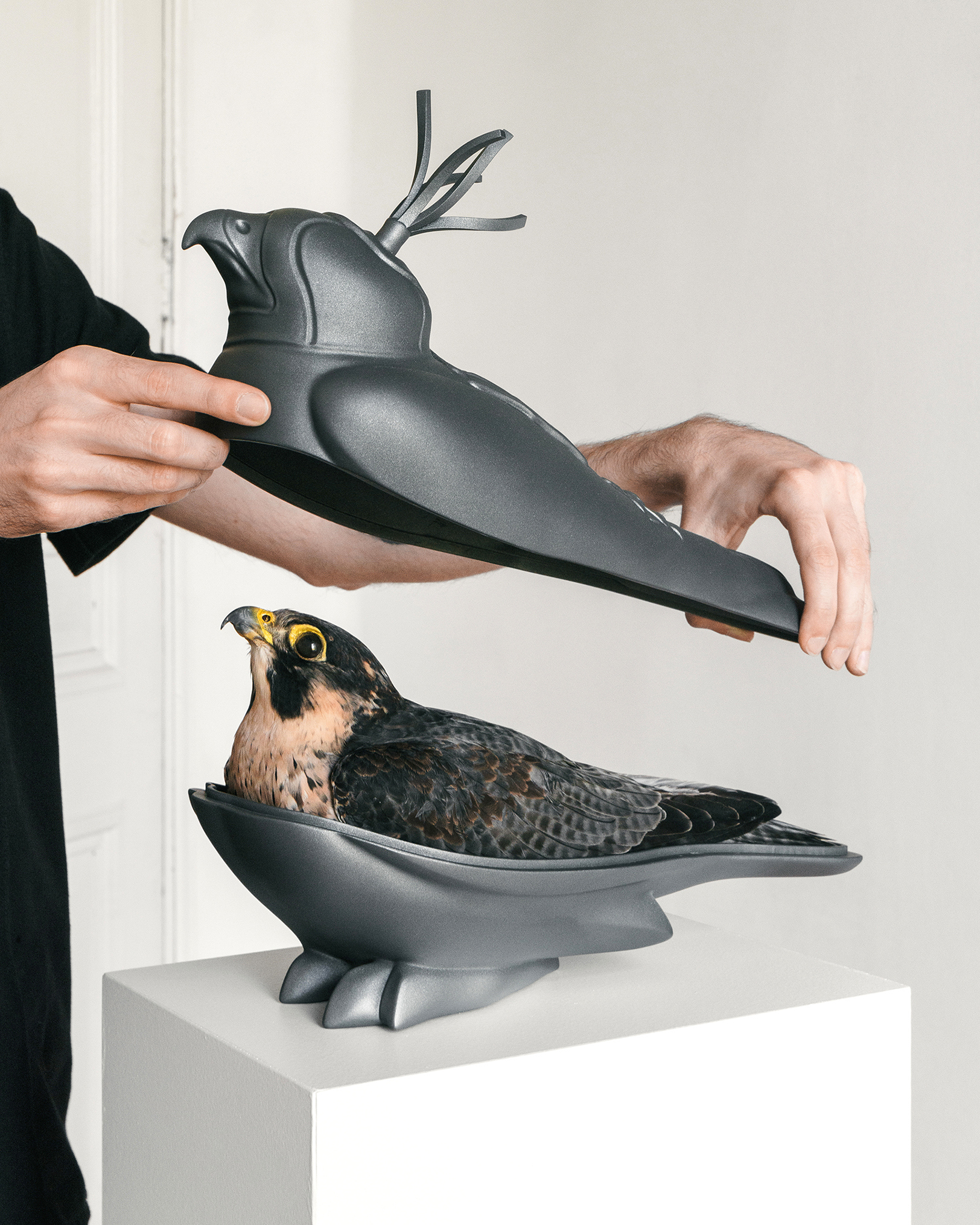 Detail from Charles Degeyter, Shevardena, 2024, Falco Peregrinus, Resin Print and Acrylic, 26x35x15 cm