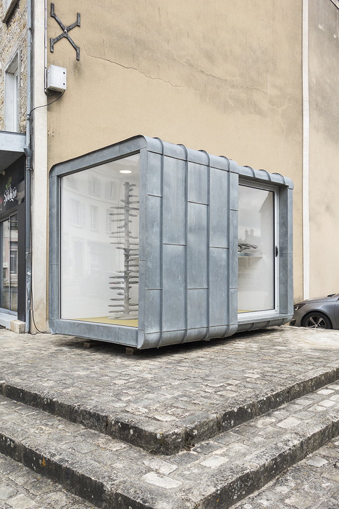 Exhibition view, Conjoined Cell(s), 2024, Xolo Cuintle, La borne, Poctb, Puiseaux