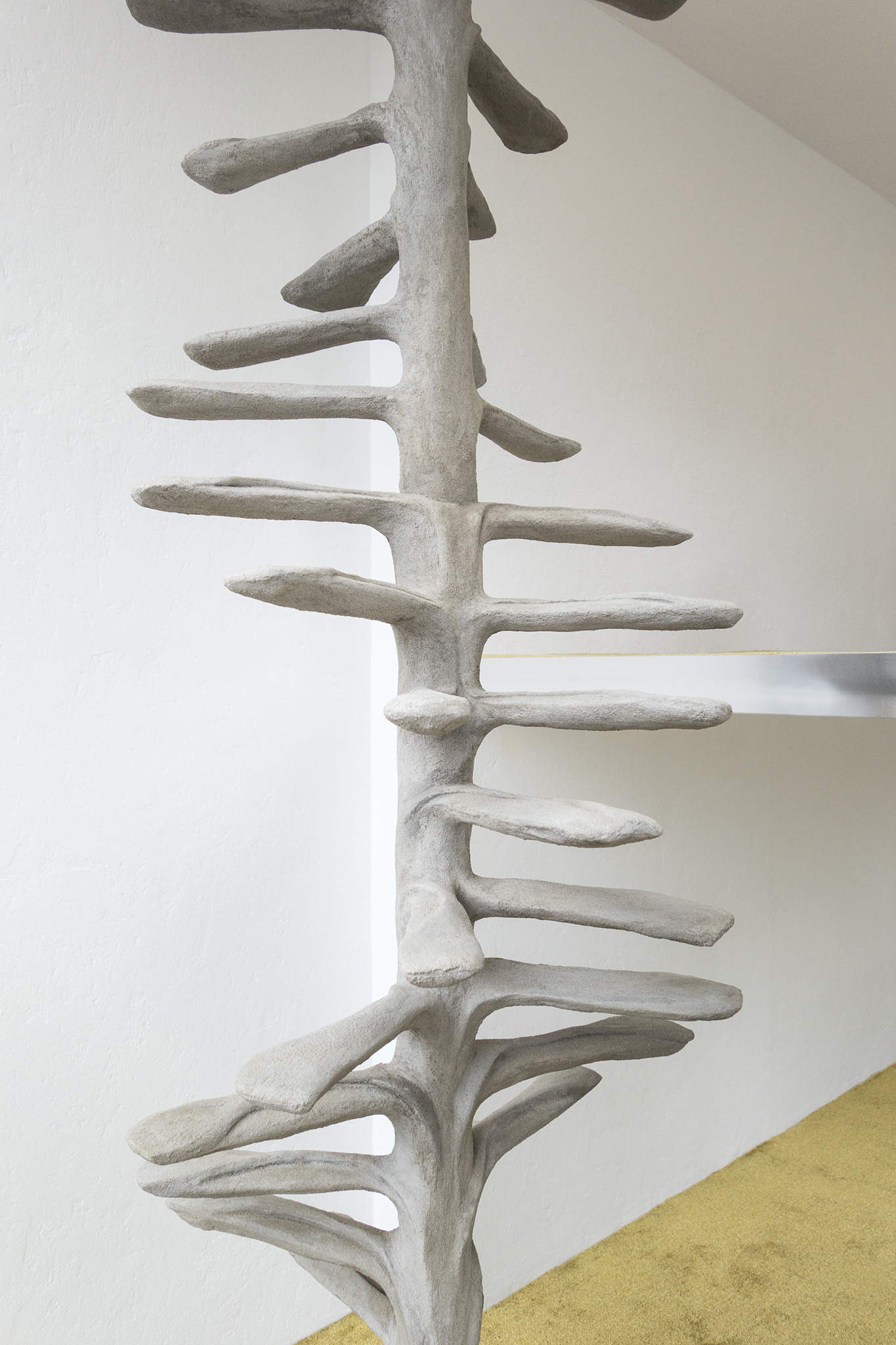 Exhibition view, Conjoined Cell(s), 2024, Xolo Cuintle, La borne, Poctb, Puiseaux