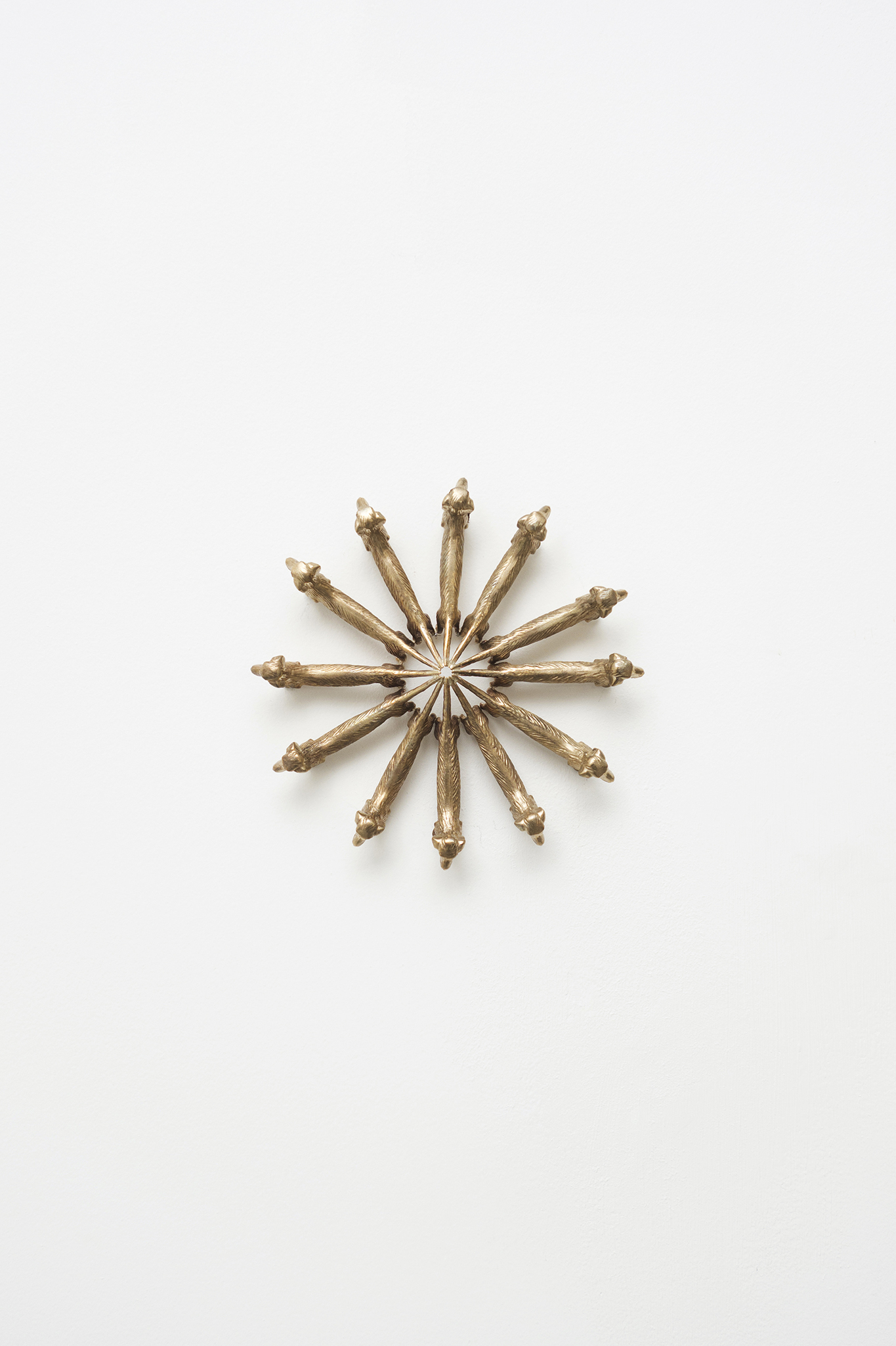 Exhibition view, Conjoined Cell(s), 2024, Xolo Cuintle, La borne, Poctb, Puiseaux