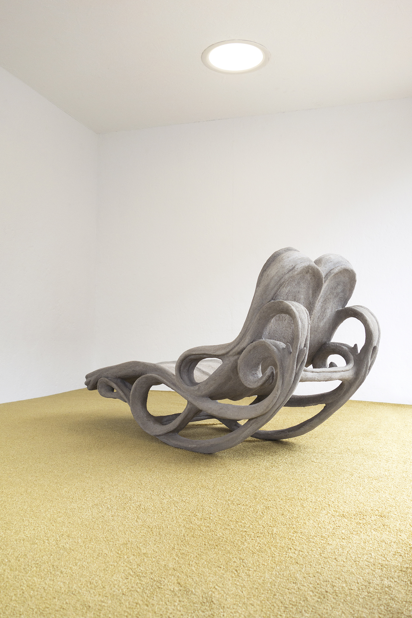 Exhibition view, Conjoined Cell(s), 2024, Xolo Cuintle, La borne, Poctb, Puiseaux